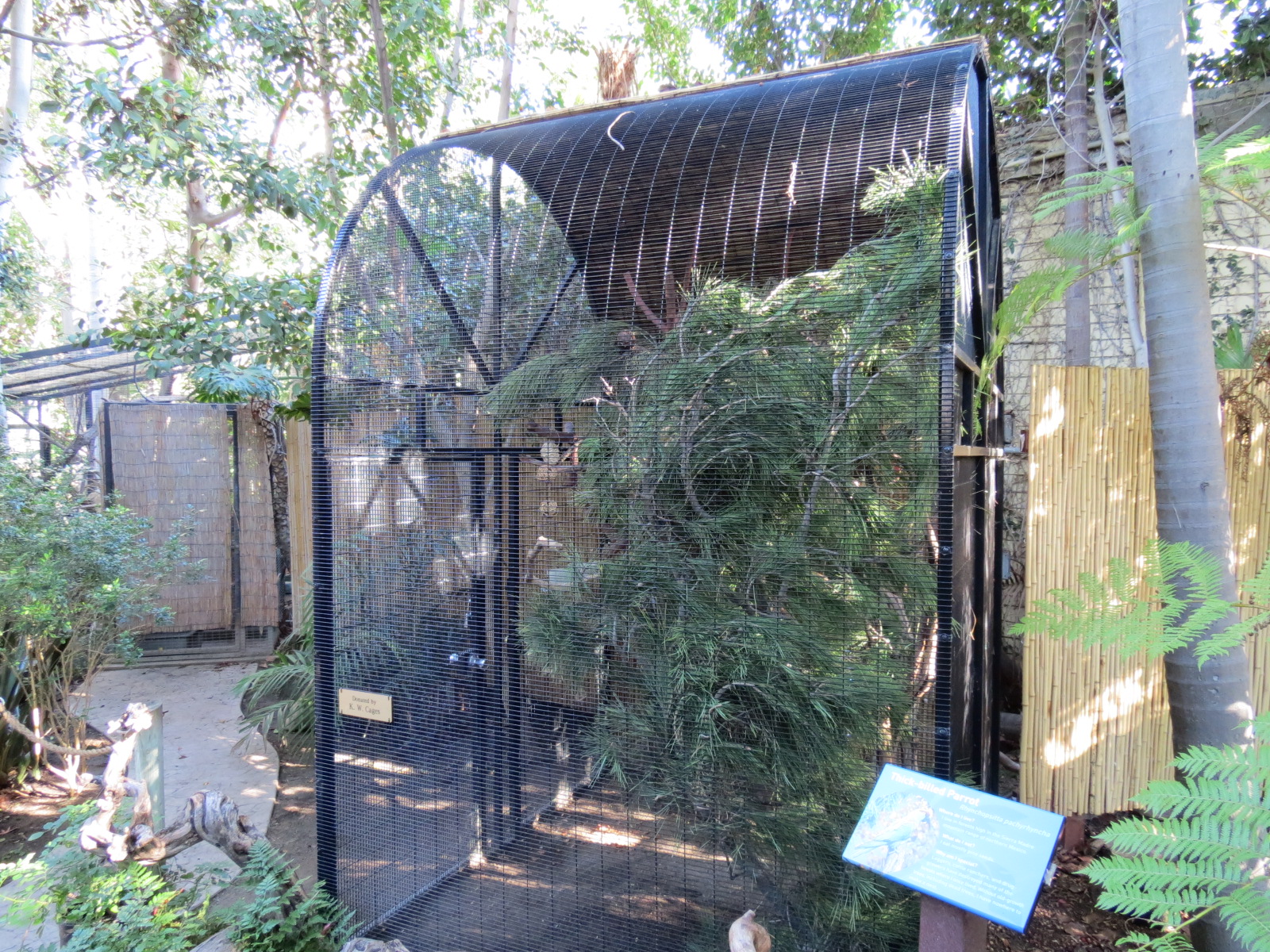 Discovery Outpost - Children's Zoo - Thick-billed Parrot Exhibit