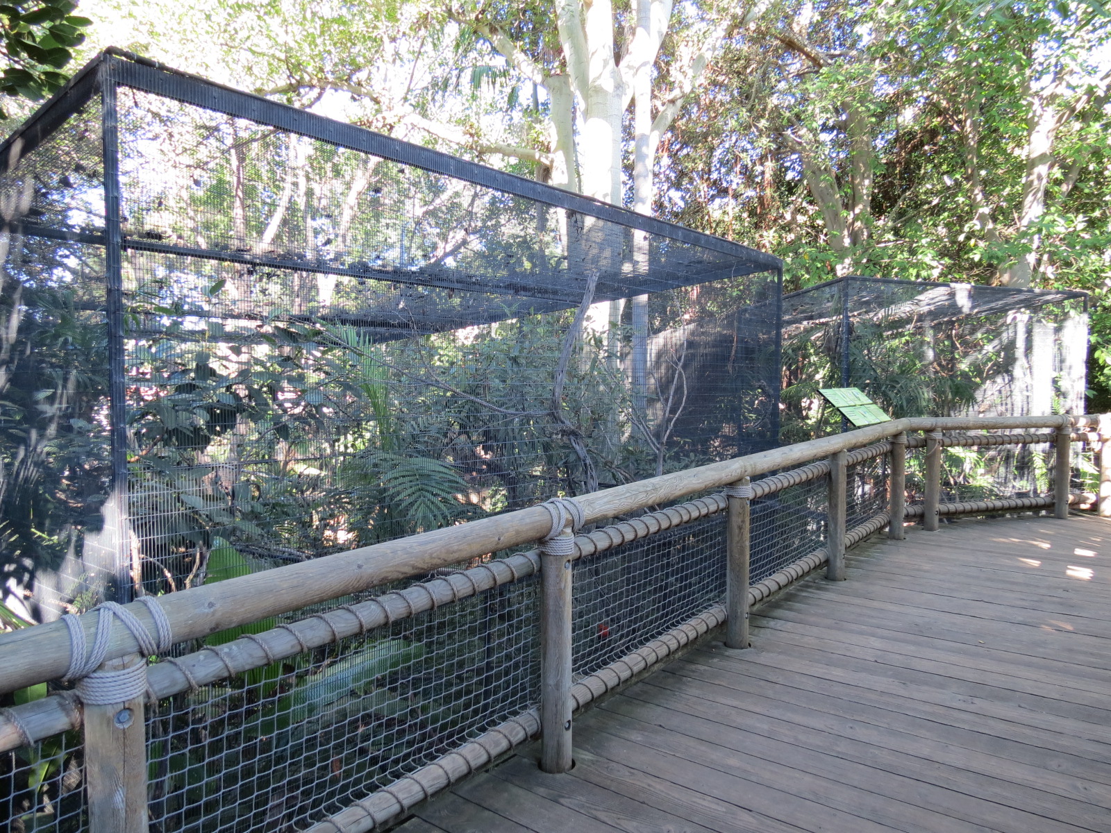 Discovery Outpost - Children's Zoo - Two Bird Exhibits