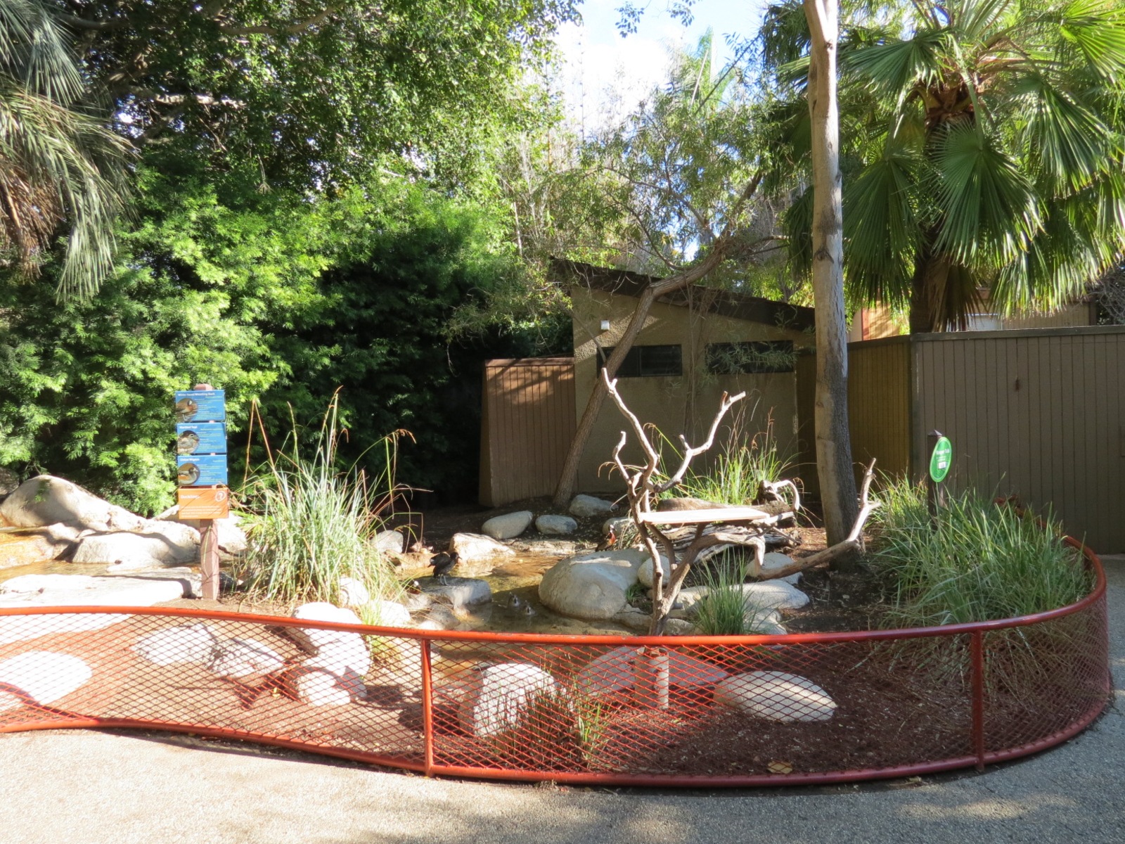 Discovery Outpost - Children's Zoo - Waterfowl Lagoon