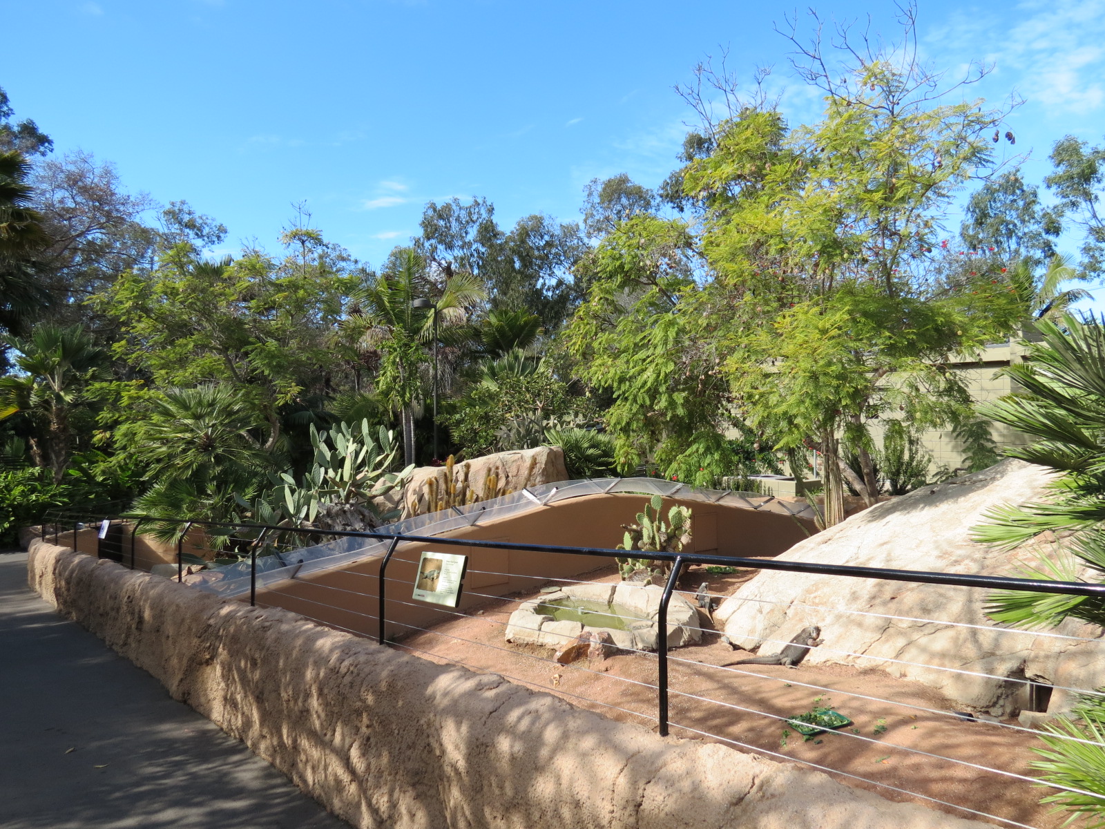 Discovery Outpost - Exuma Island Iguana Exhibit