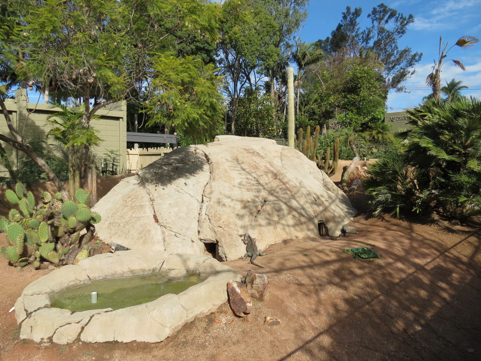 Discovery Outpost - Exuma Island Iguana Exhibit