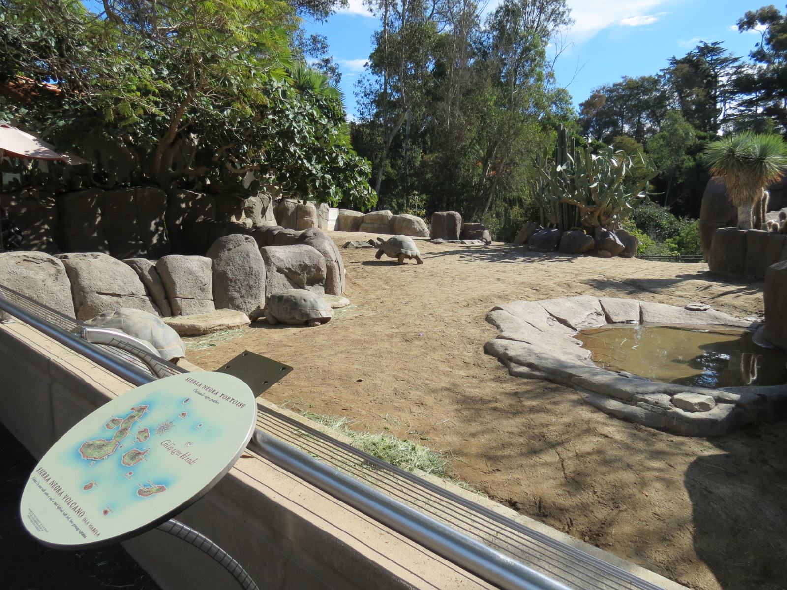 Discovery Outpost - Galapagos Tortoise Exhibit Yard 1