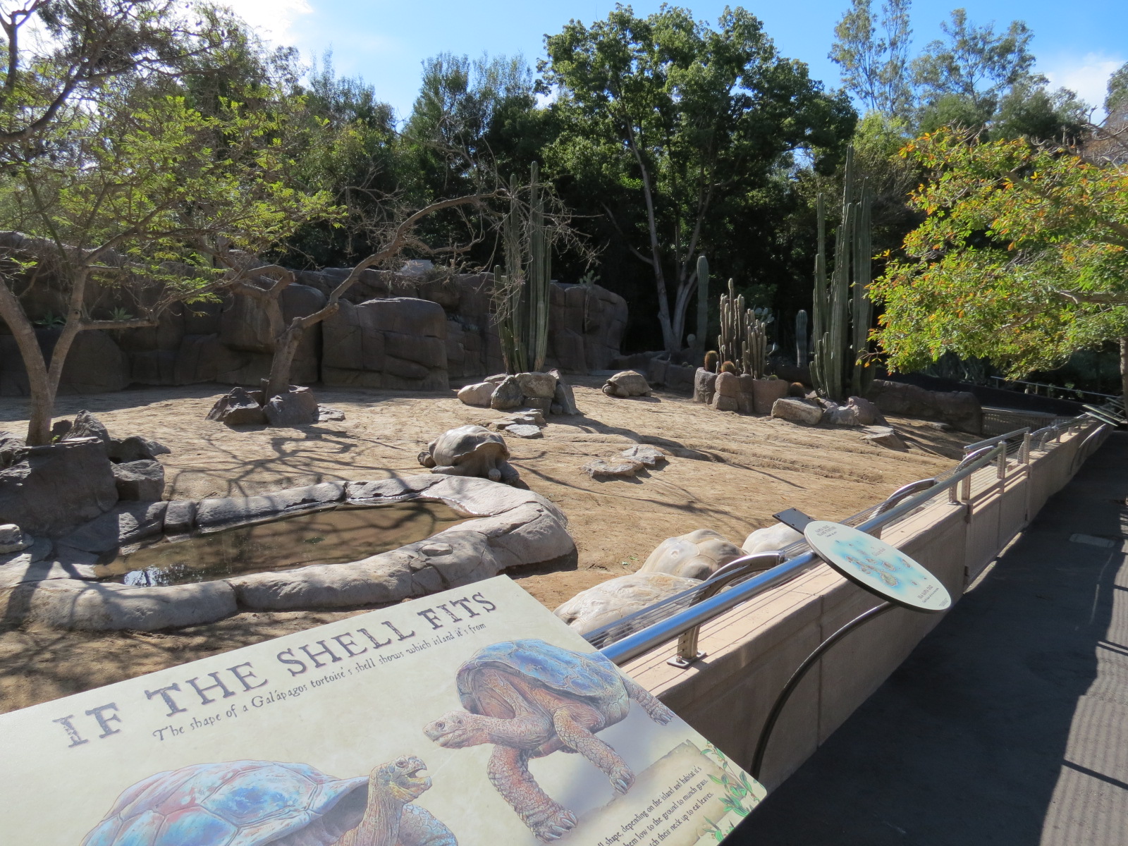 Discovery Outpost - Galapagos Tortoise Exhibit Yard 2