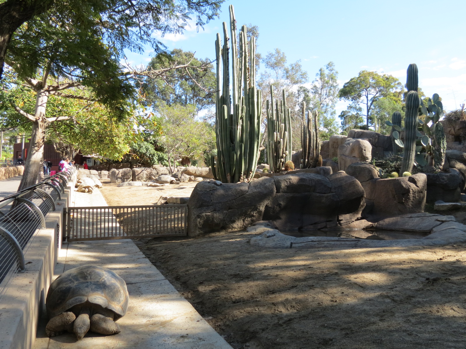 Discovery Outpost - Galapagos Tortoise Exhibit Yard 3