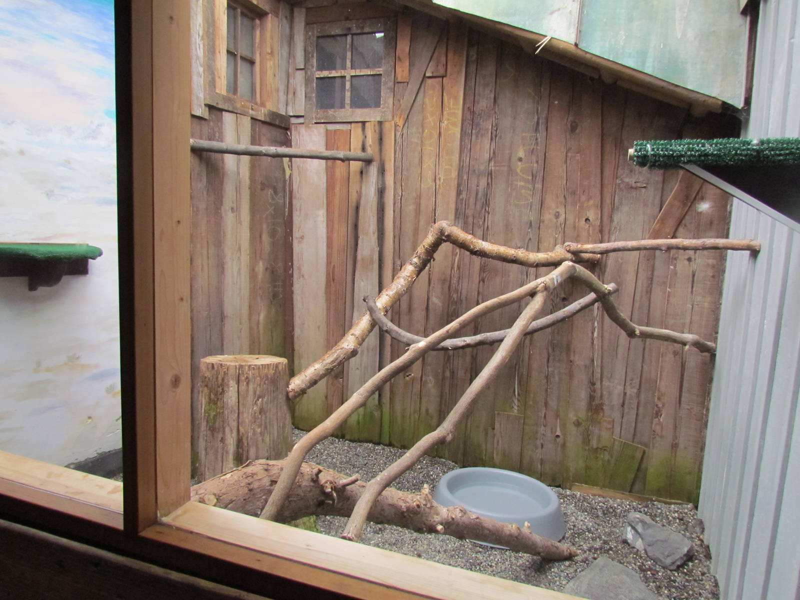 Discovery Outpost - Gyrfalcon Exhibit