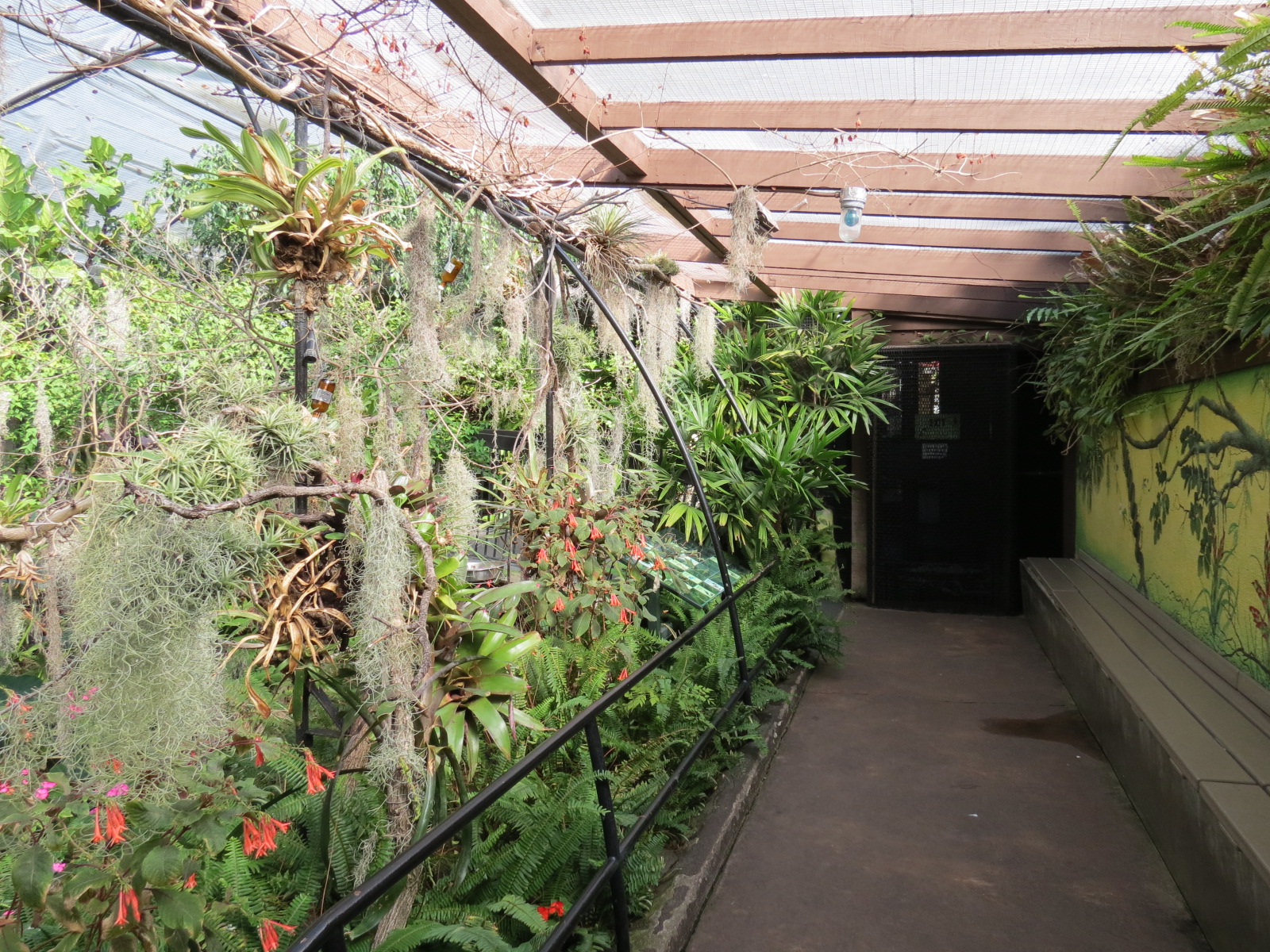 Discovery Outpost - Hummingbird Aviary