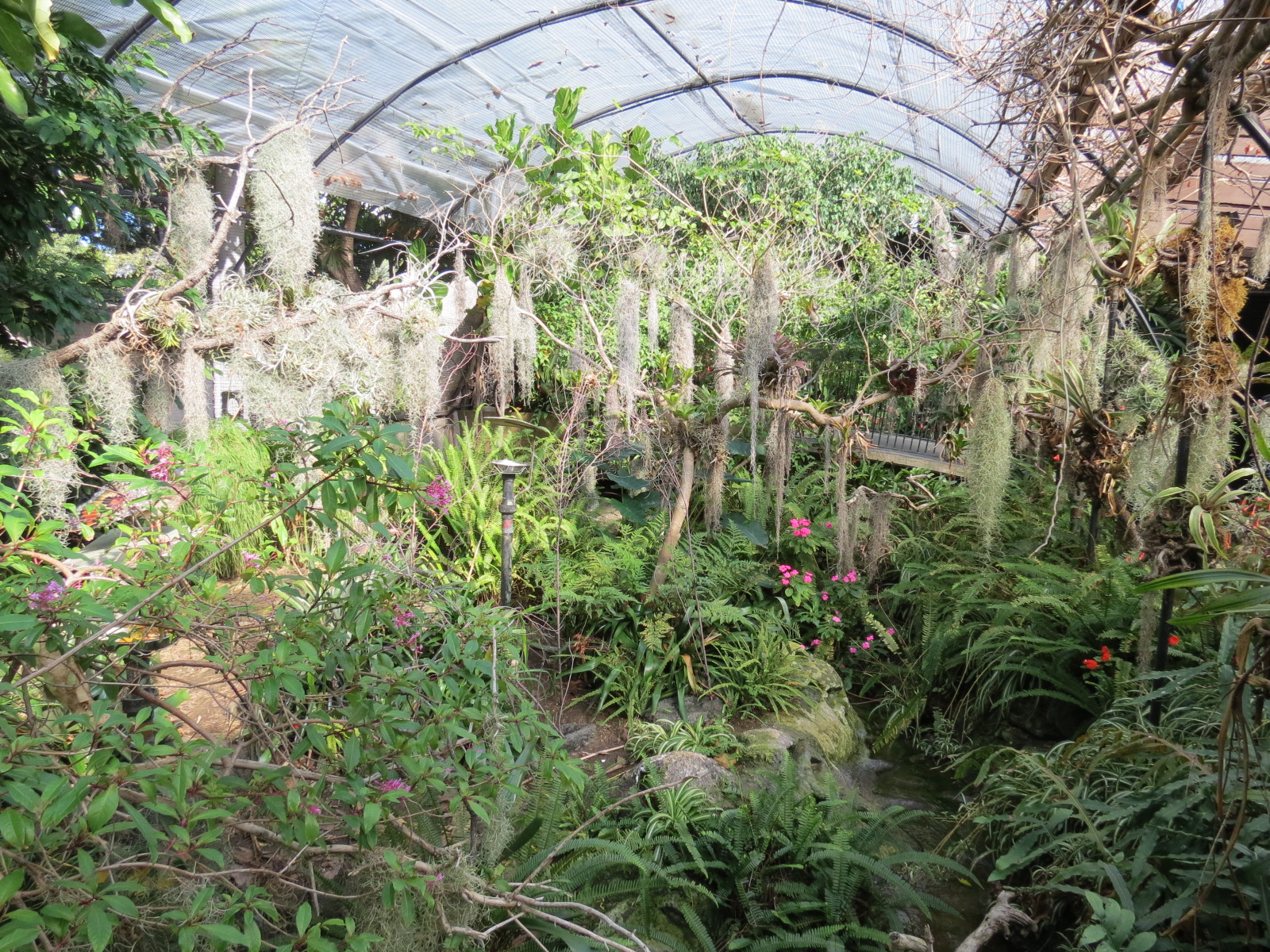 Discovery Outpost - Hummingbird Aviary