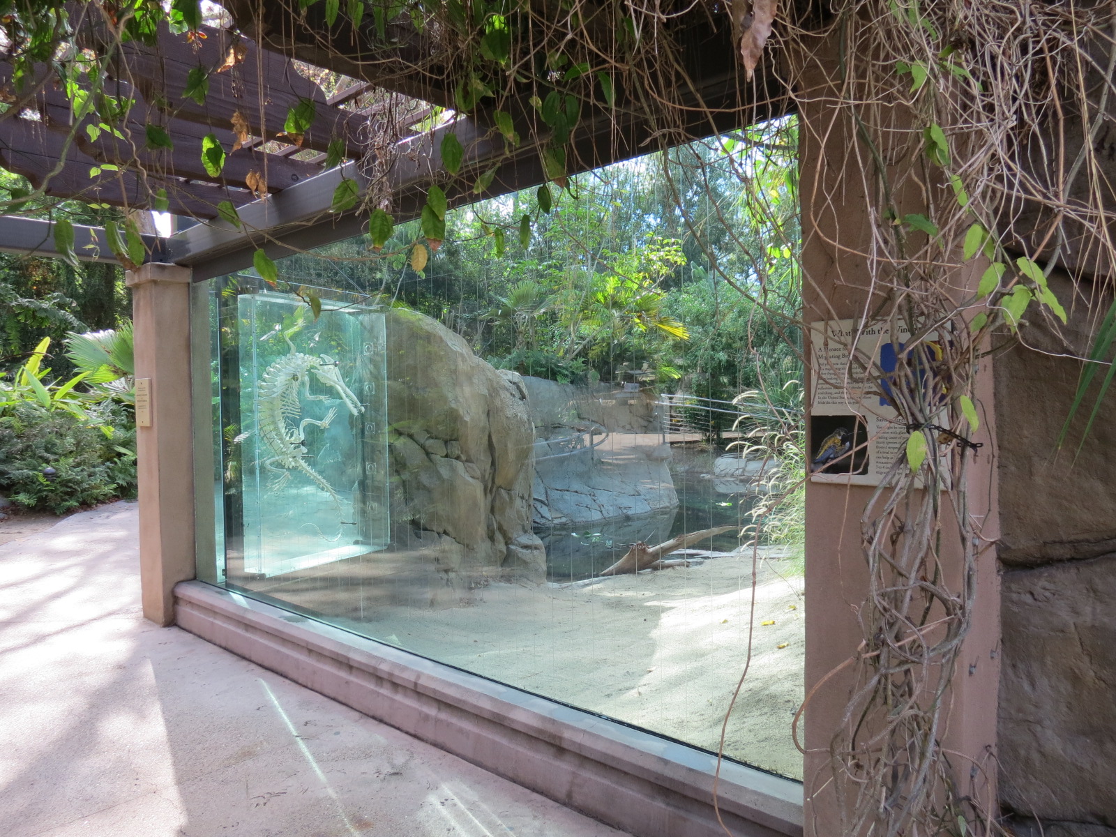 Discovery Outpost - Johnston's Crocodile and Turtles Exhibit