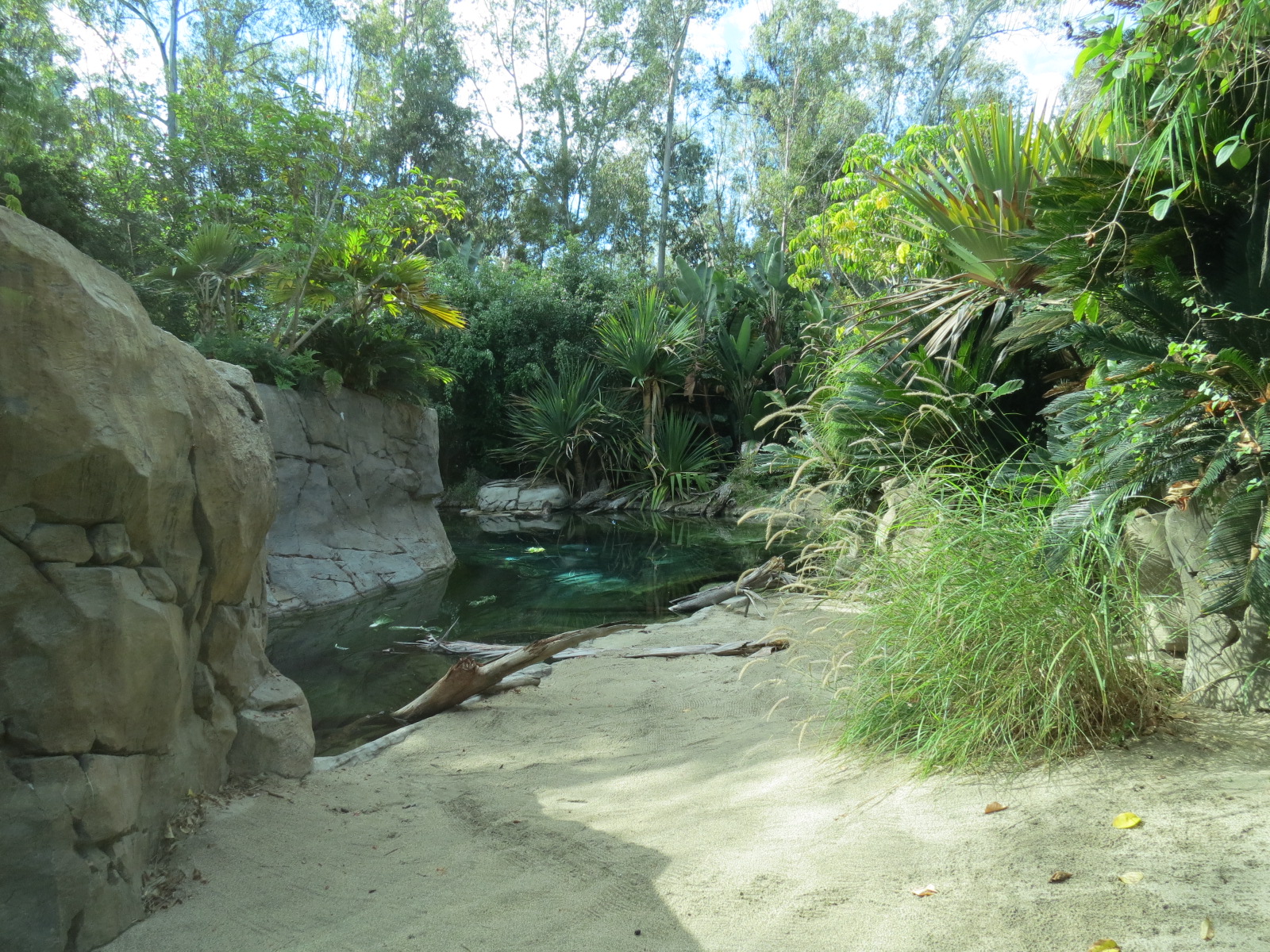 Discovery Outpost - Johnston's Crocodile and Turtles Exhibit