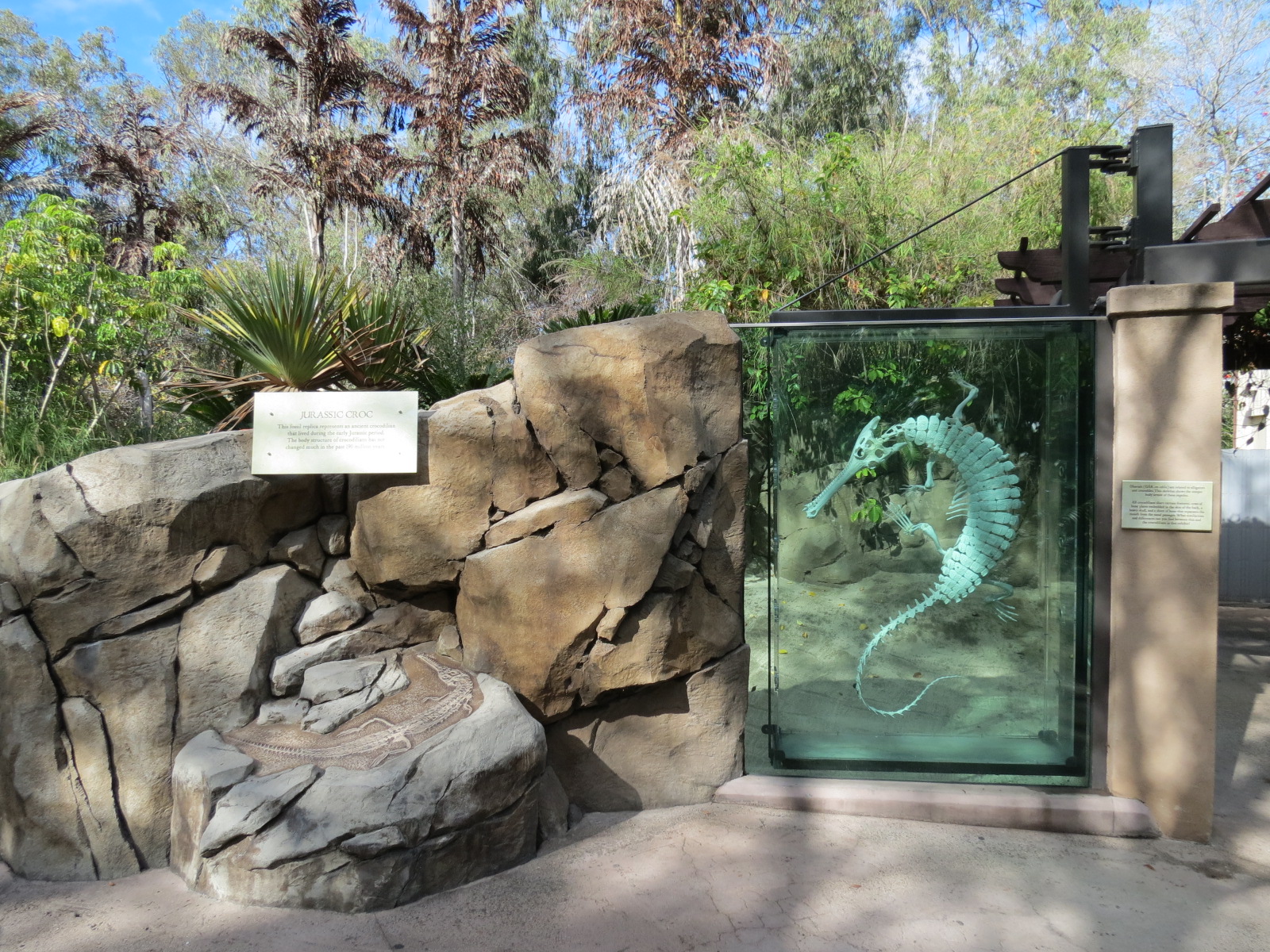 Discovery Outpost - Johnston's Crocodile and Turtles Exhibit