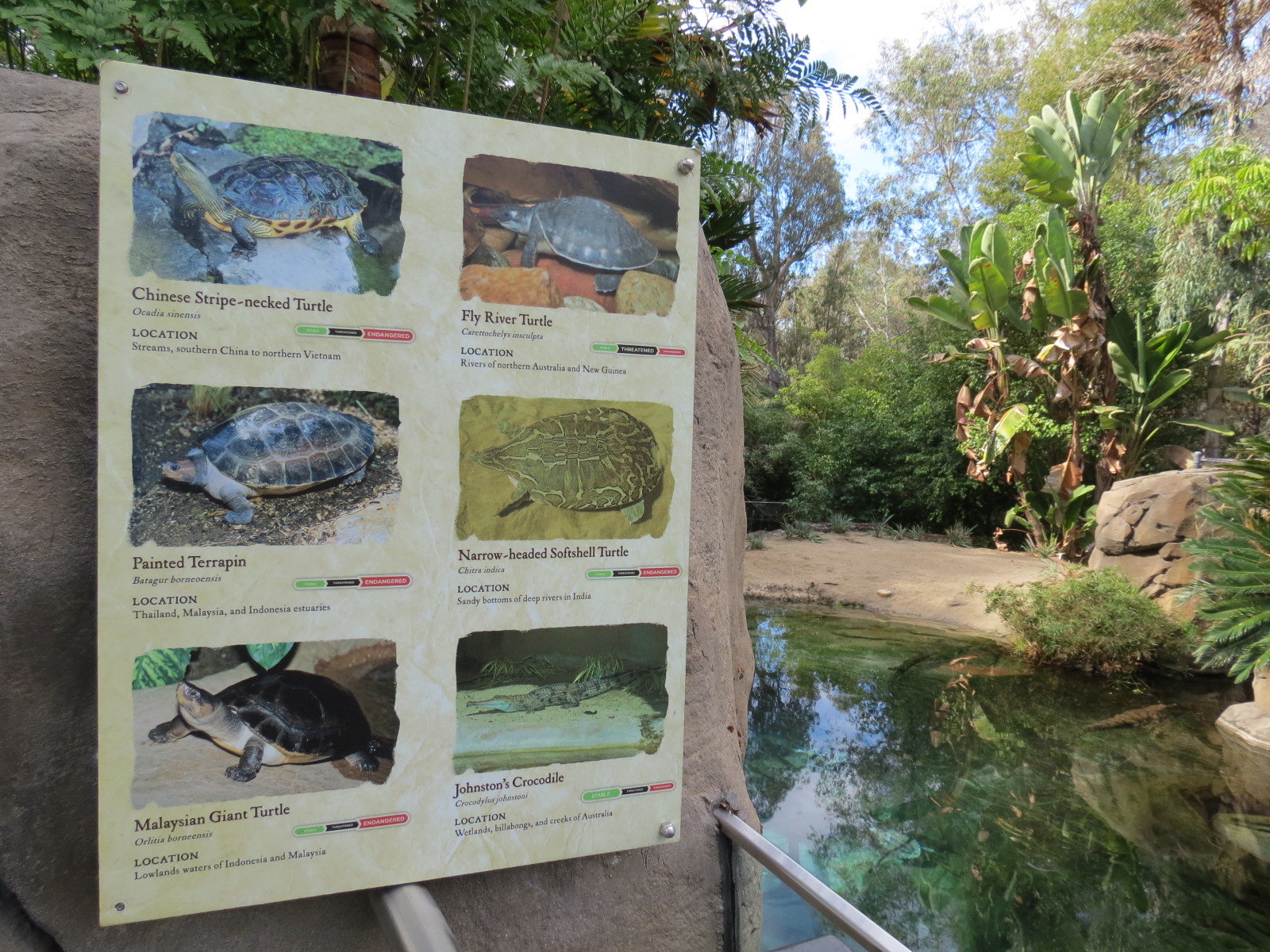Discovery Outpost - Johnston's Crocodile and Turtles Exhibit