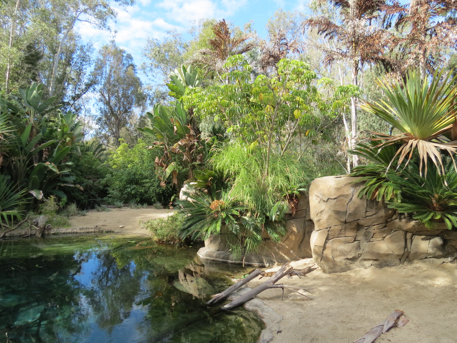 Discovery Outpost - Johnston's Crocodile and Turtles Exhibit
