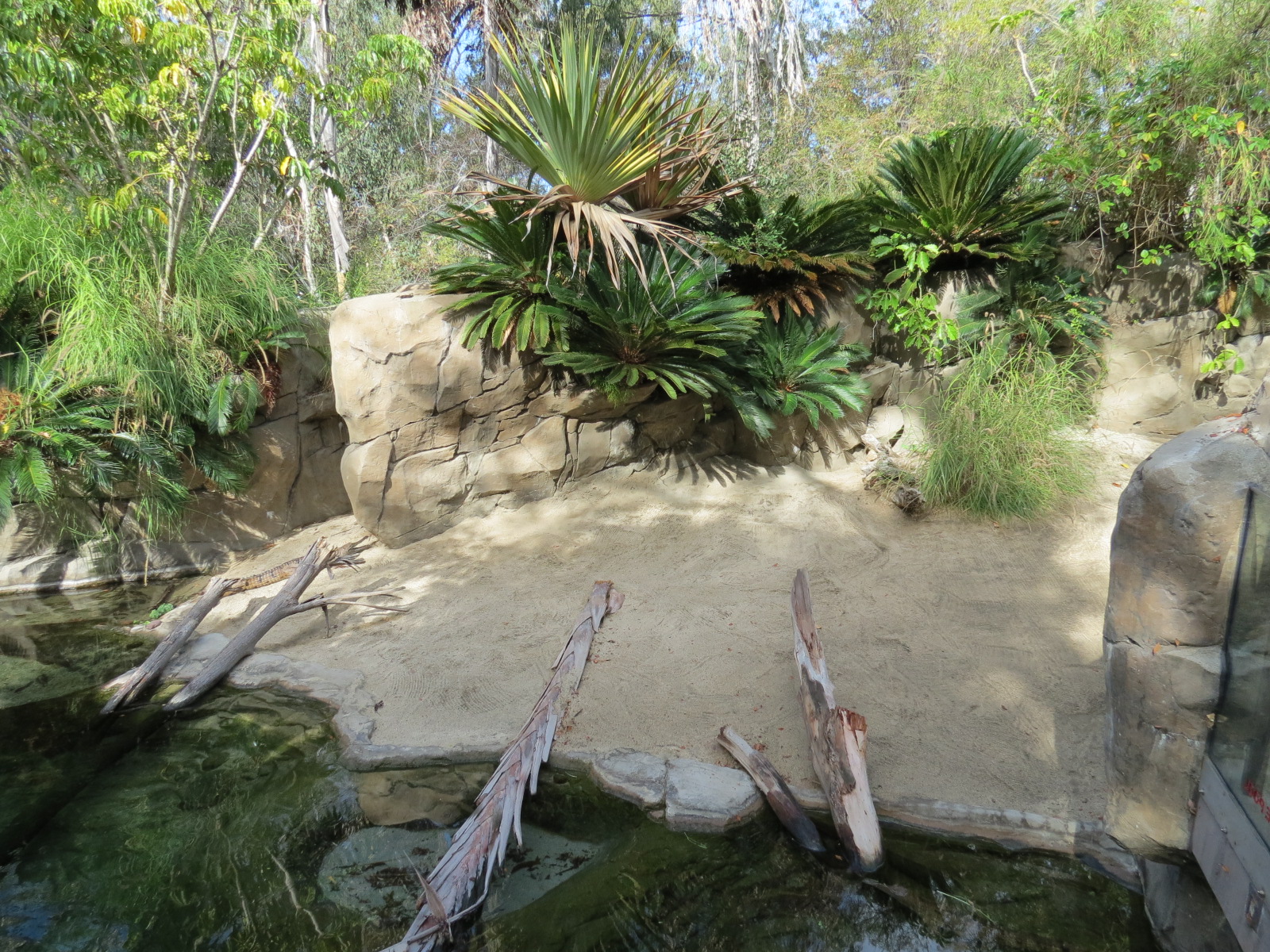 Discovery Outpost - Johnston's Crocodile and Turtles Exhibit