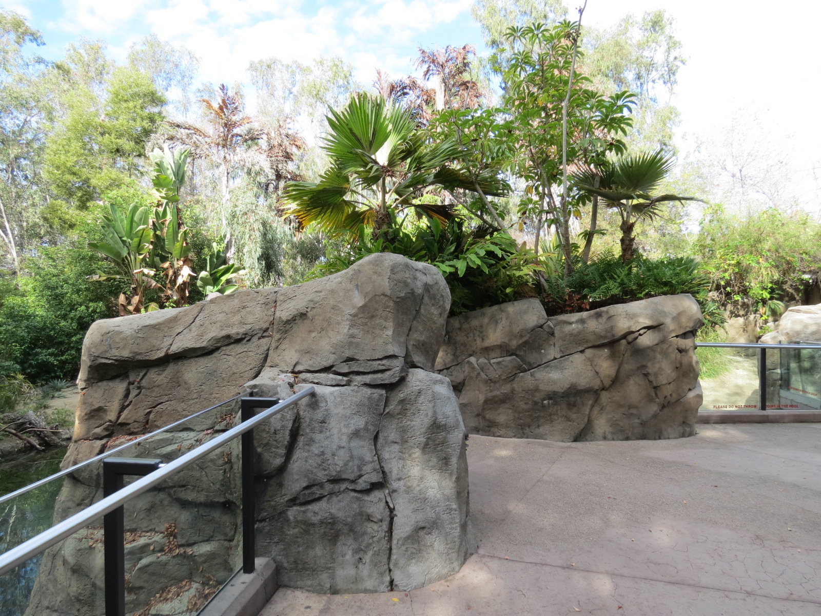 Discovery Outpost - Johnston's Crocodile and Turtles Exhibit