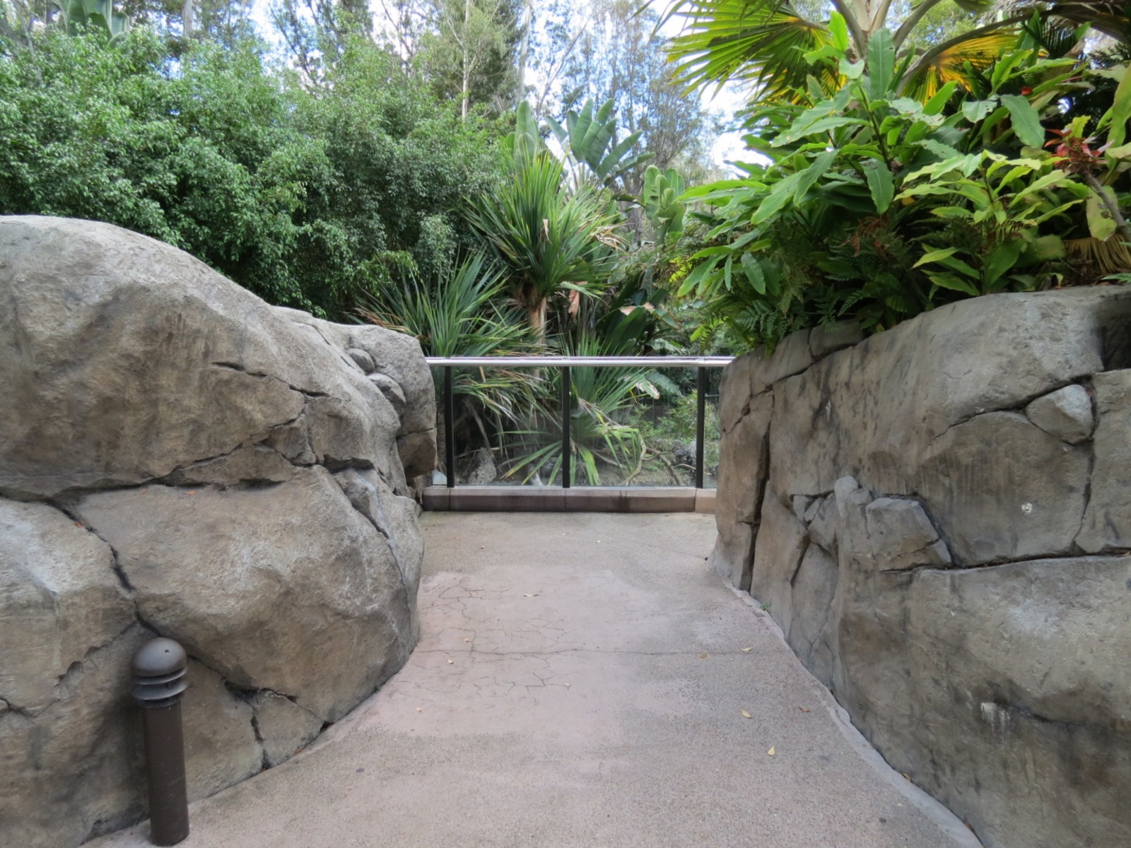 Discovery Outpost - Johnston's Crocodile and Turtles Exhibit