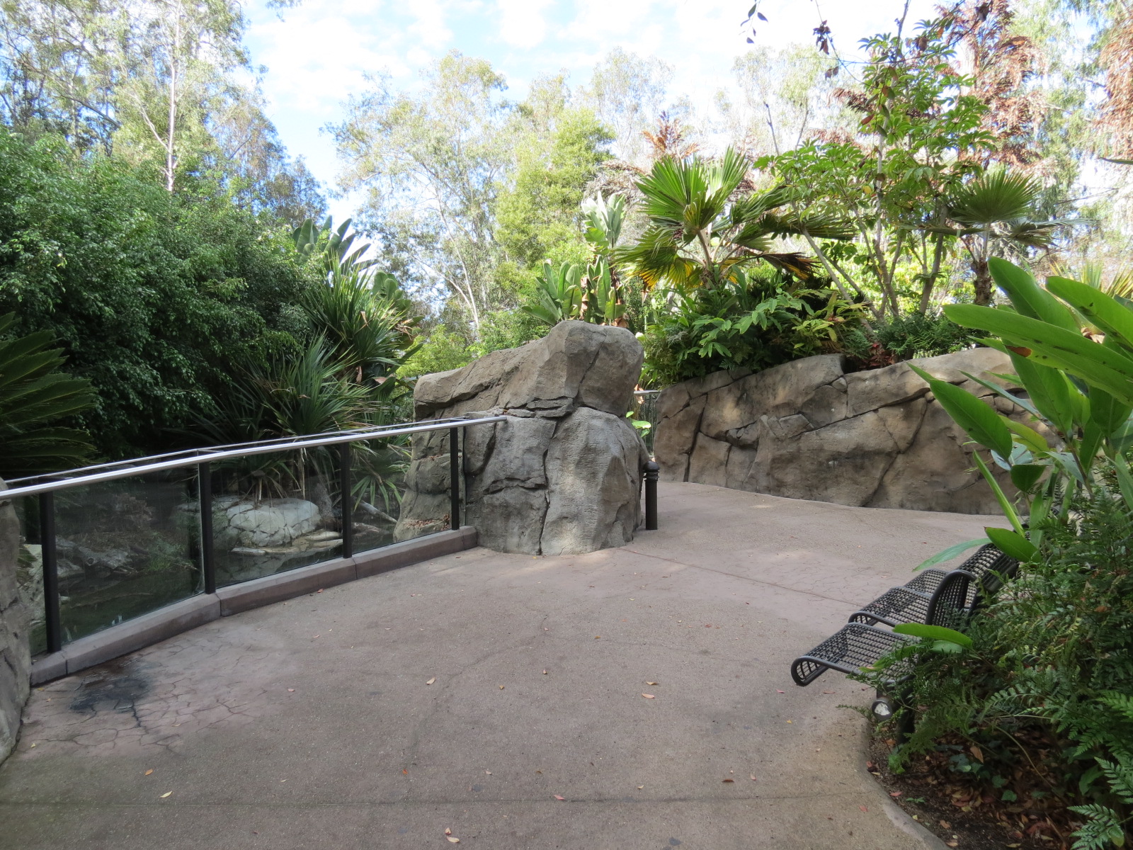 Discovery Outpost - Johnston's Crocodile and Turtles Exhibit