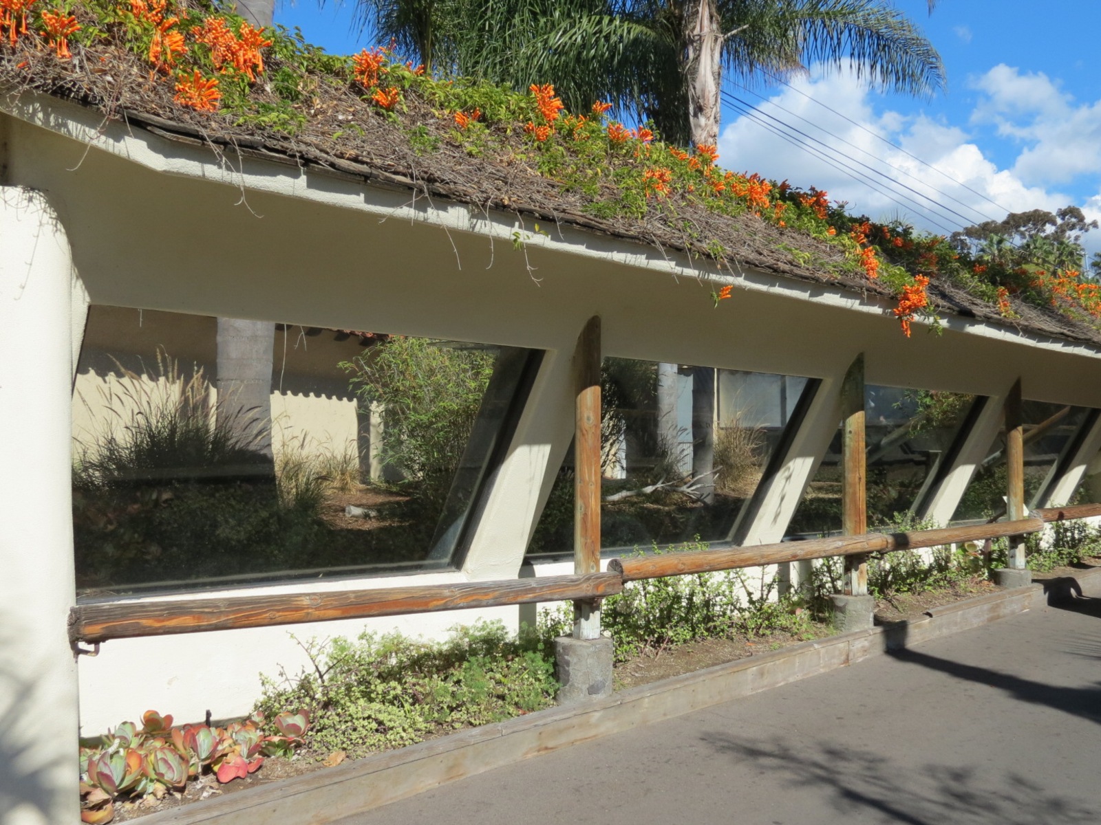 Discovery Outpost - Reptile House - Komodo Dragon Exhibit