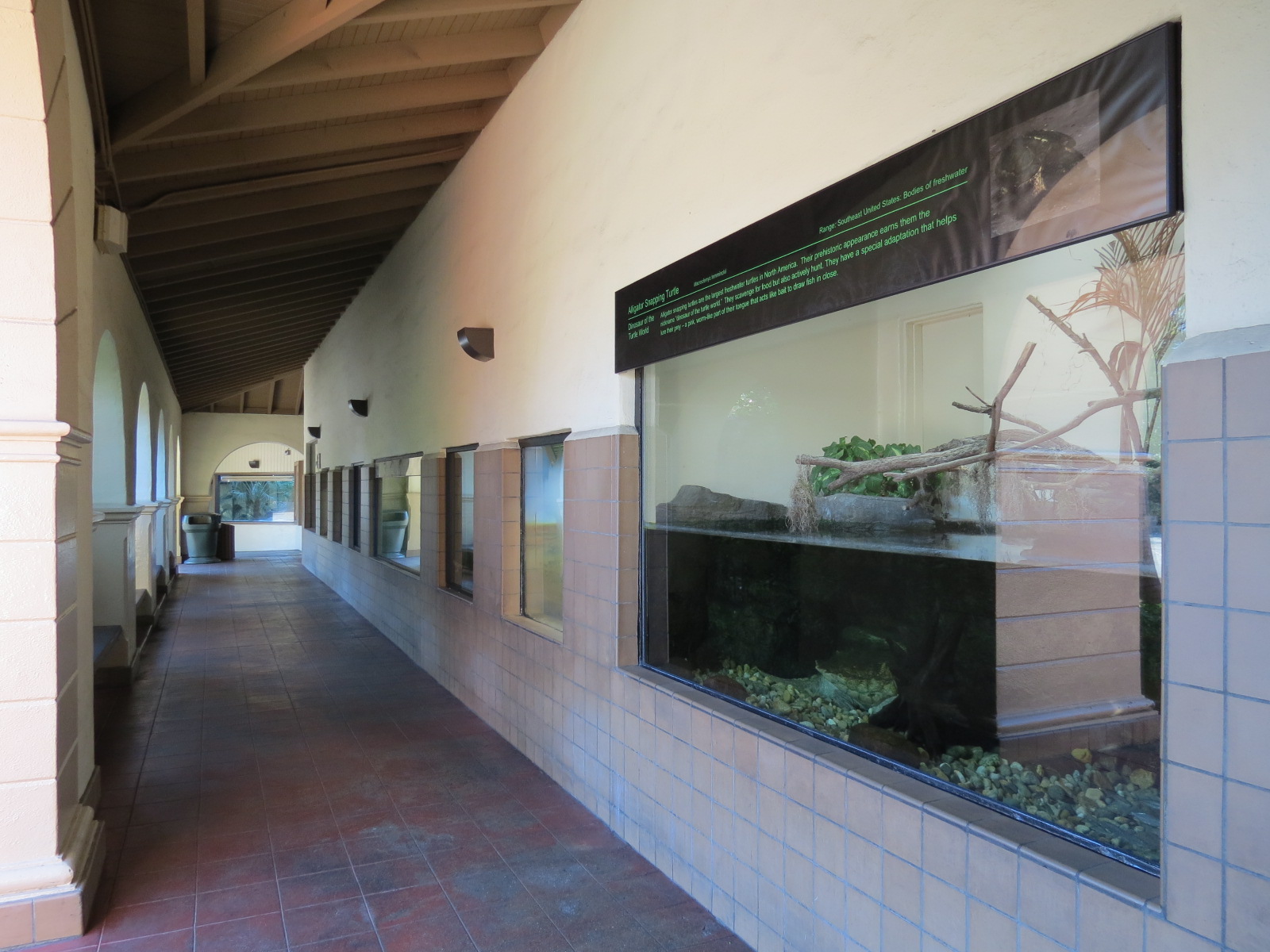 Discovery Outpost - Reptile House - Viewing Arcade