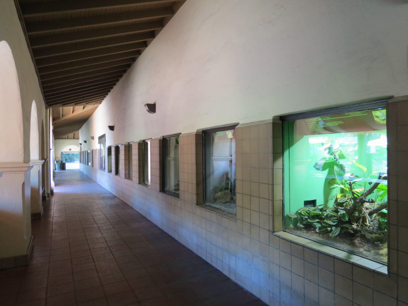 Discovery Outpost - Reptile House - Viewing Arcade