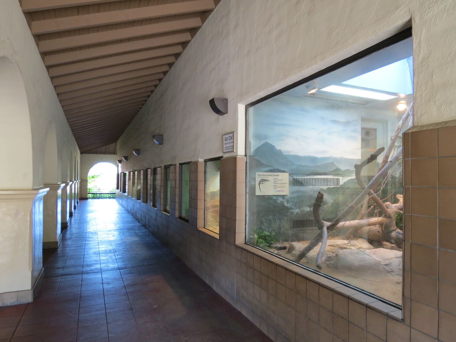 Discovery Outpost - Reptile House - Viewing Arcade