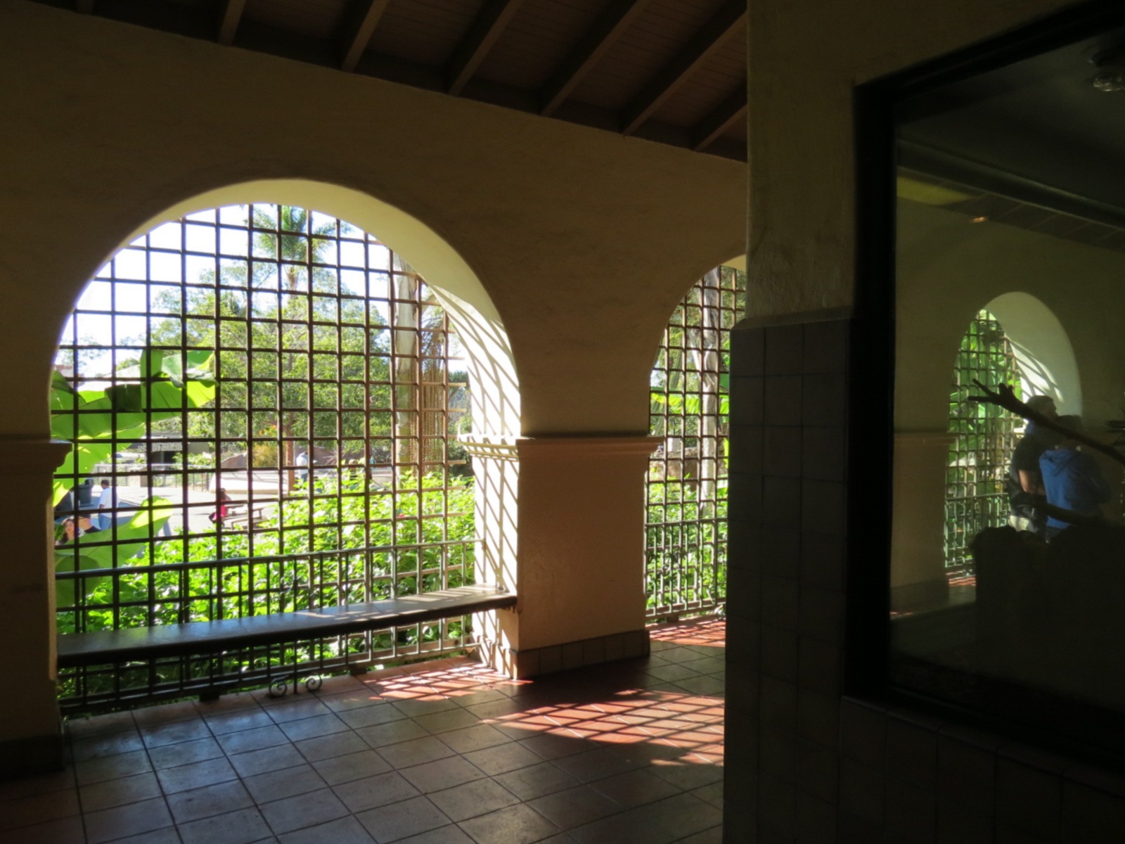 Discovery Outpost - Reptile House - Viewing Arcade