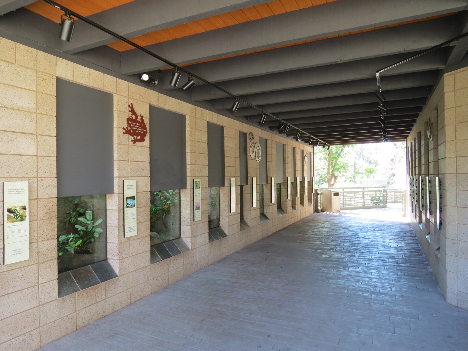 Discovery Outpost - Reptile Walk - Amphibians Exhibits