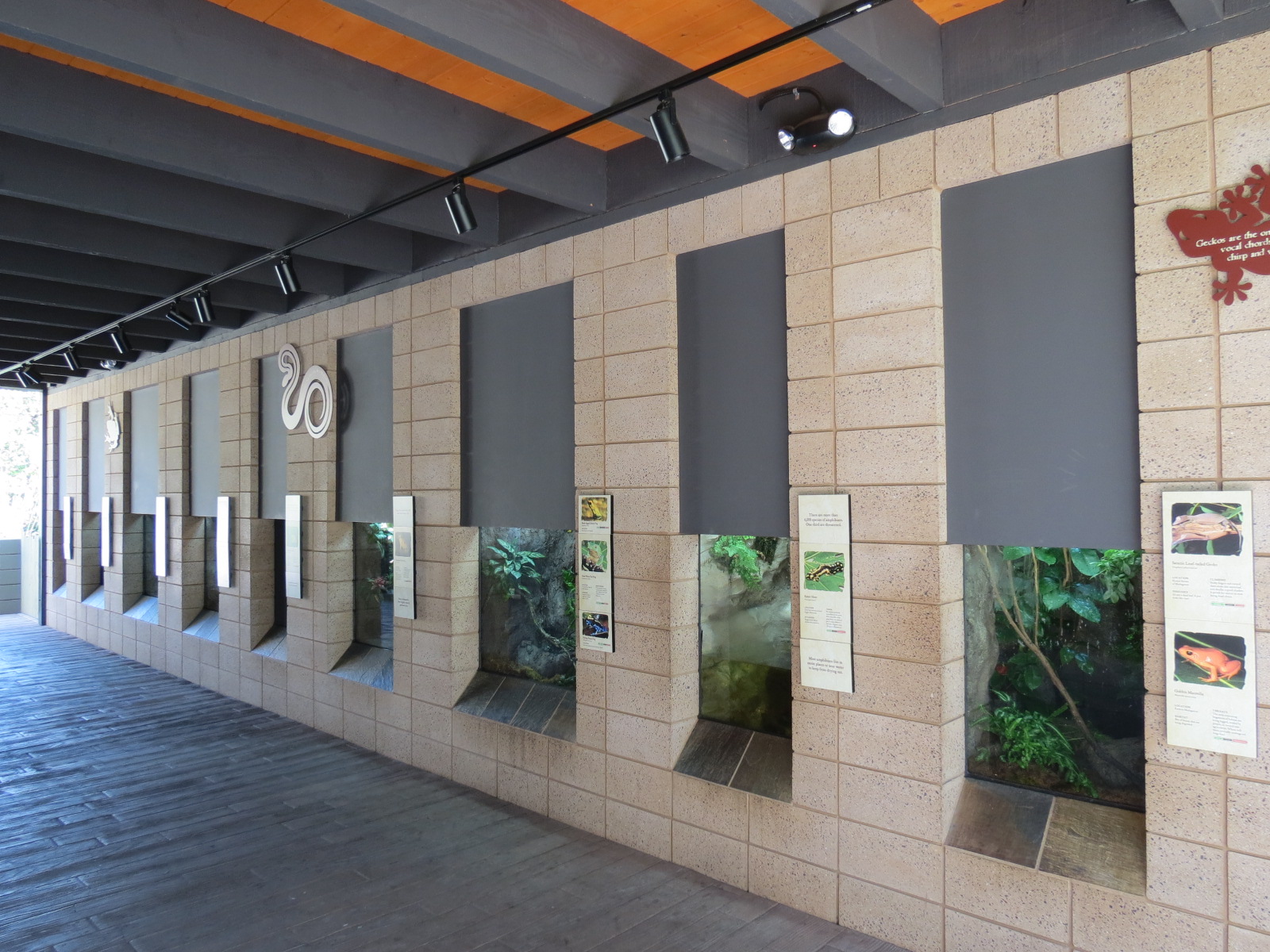 Discovery Outpost - Reptile Walk - Amphibians Exhibits