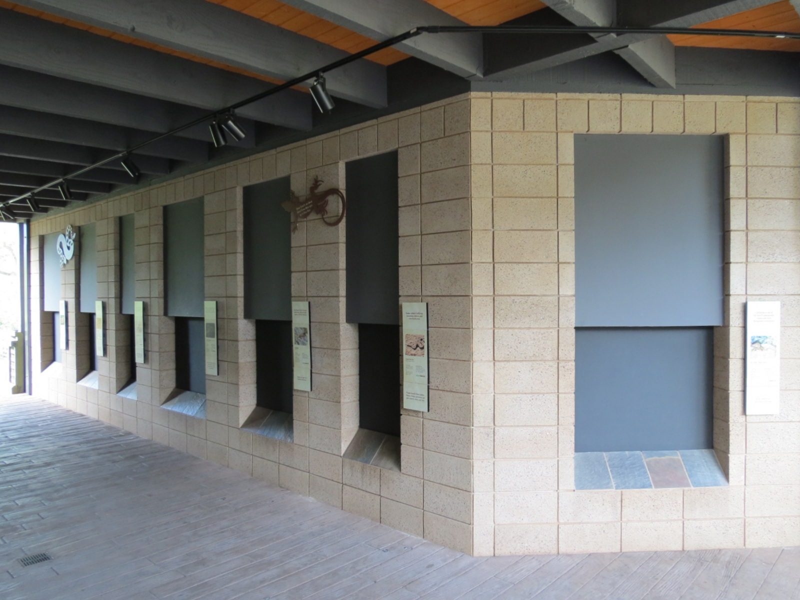 Discovery Outpost - Reptile Walk - California Native Species Exhibits