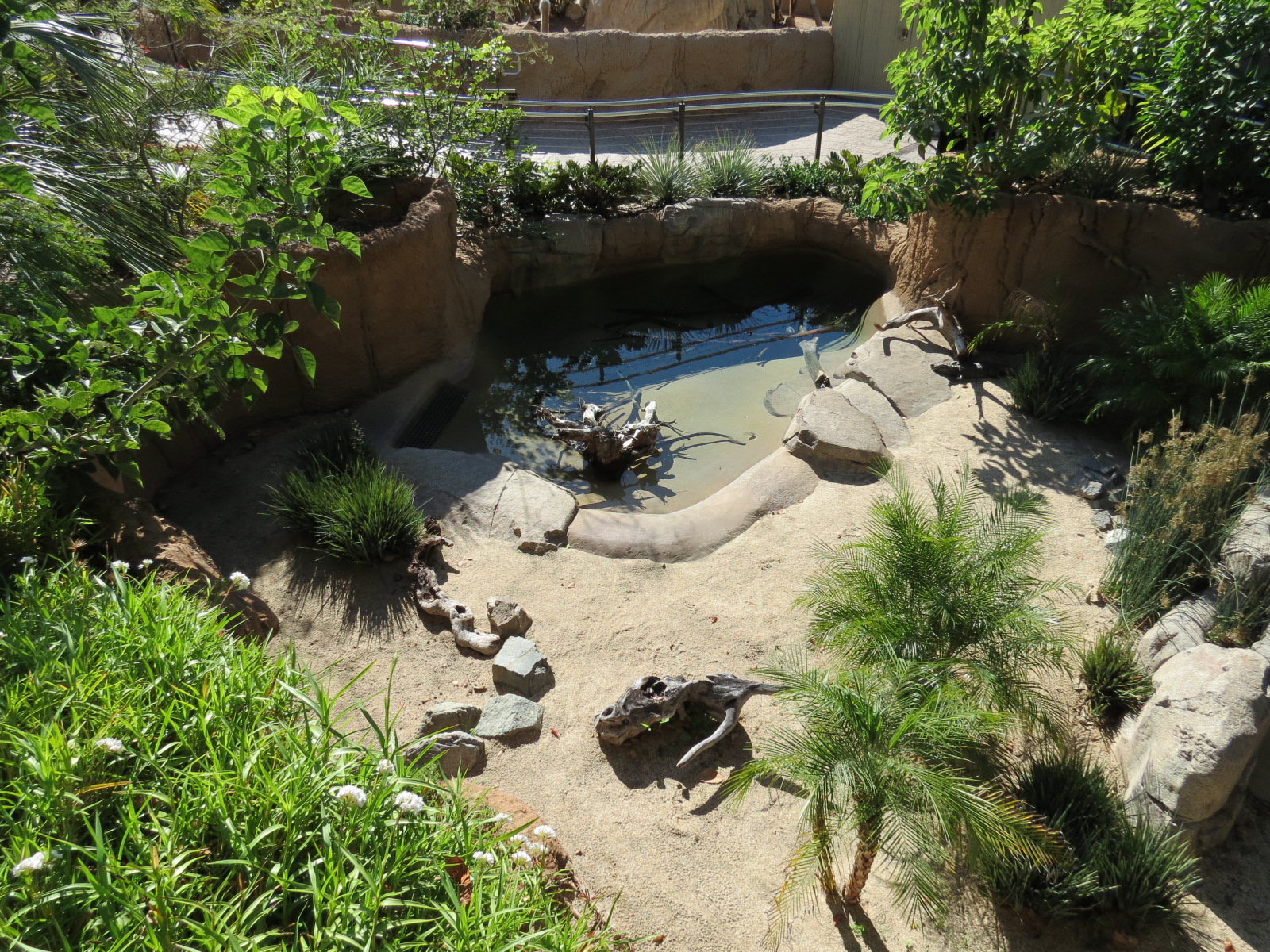 Discovery Outpost - Reptile Walk- Chinese Alligator Exhibit