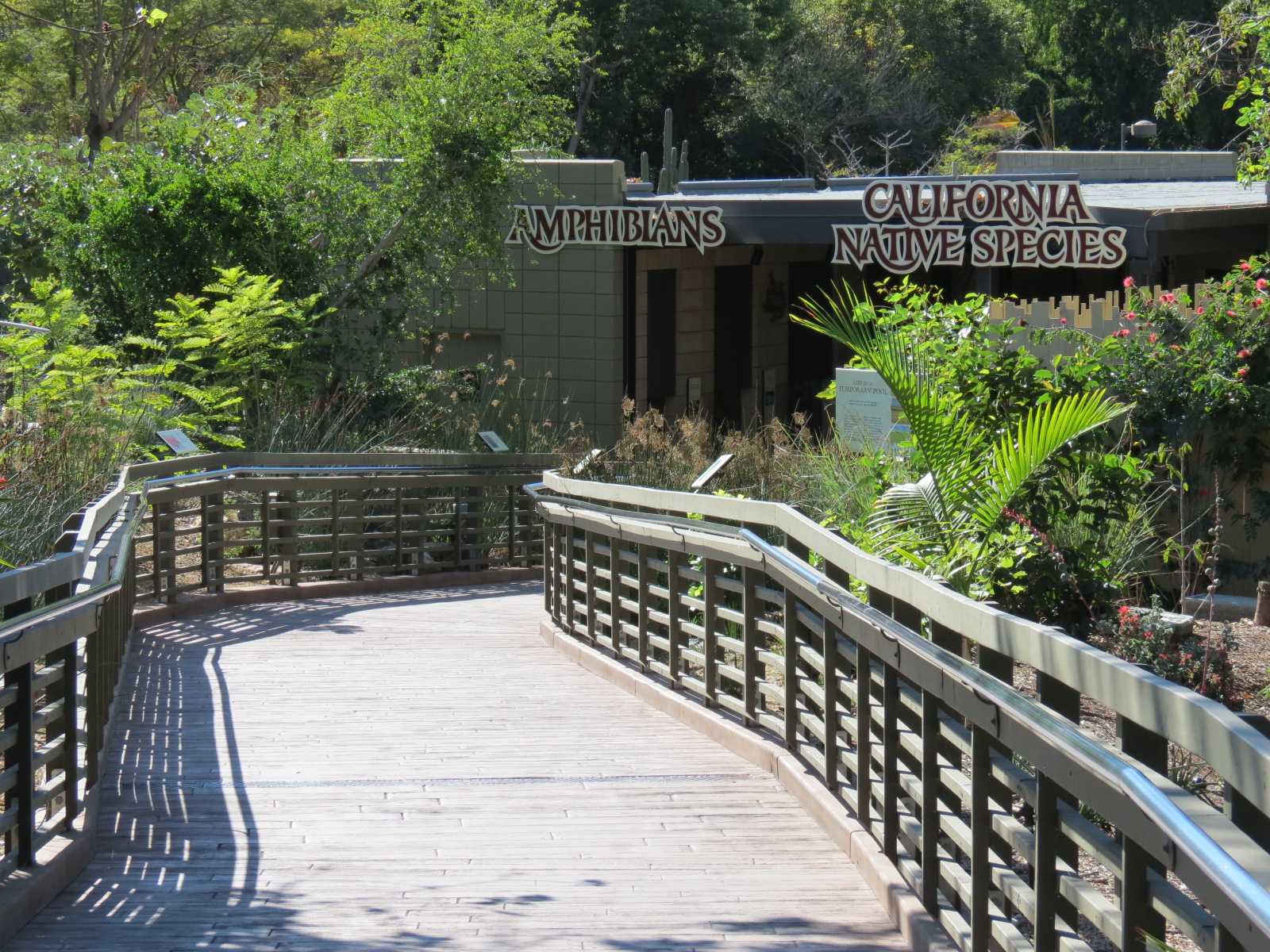Discovery Outpost - Reptile Walk - Entrance