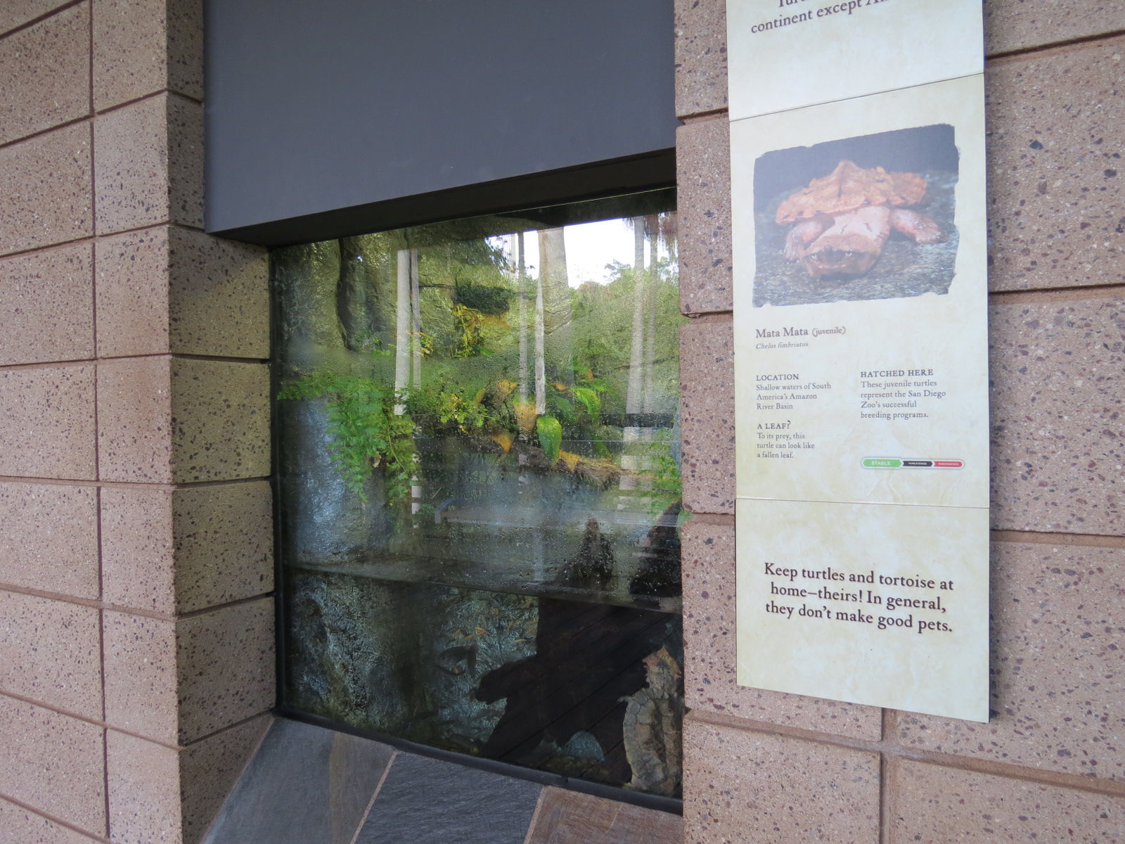 Discovery Outpost - Reptile Walk - Mata Mata Exhibit