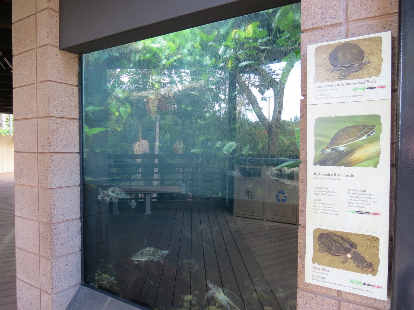 Discovery Outpost - Reptile Walk - Turtle Exhibit