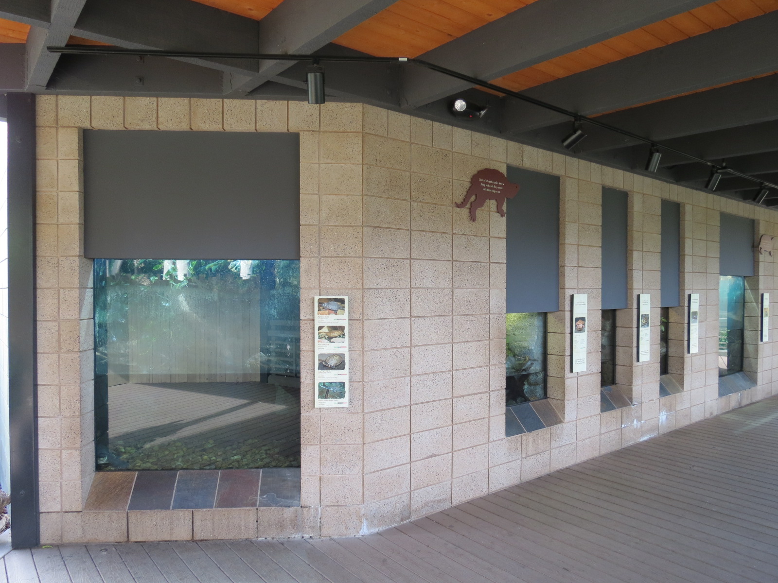 Discovery Outpost - Reptile Walk- Turtles Exhibits