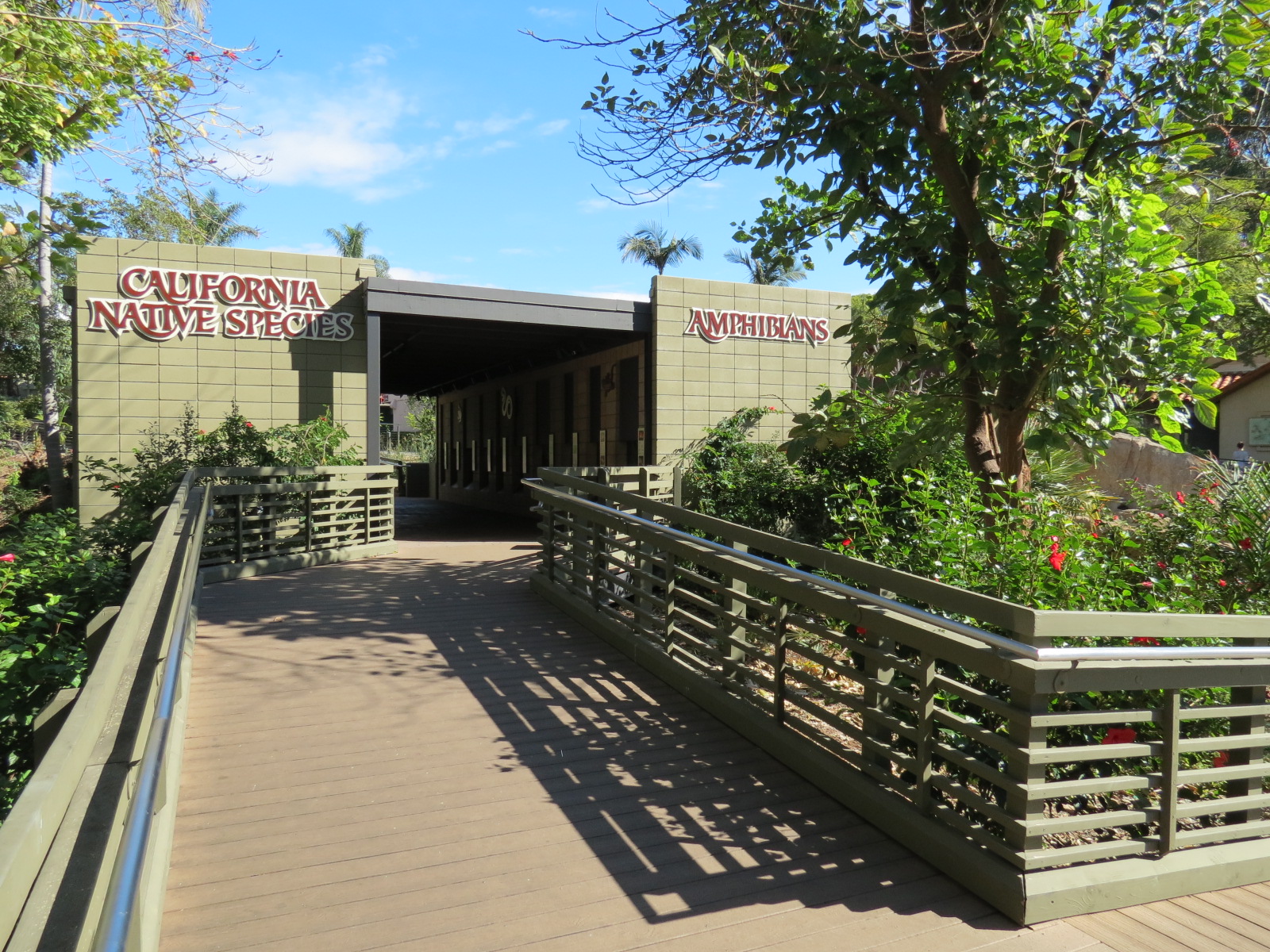 Discovery Outpost - Reptile Walk- Walkway