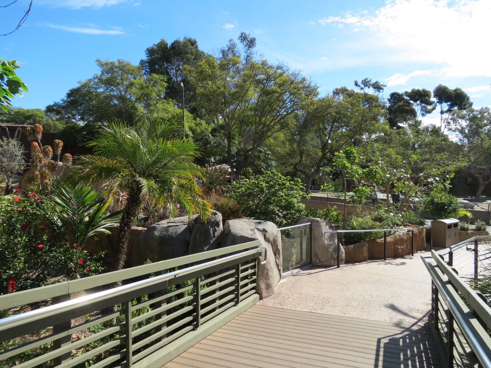 Discovery Outpost - Reptile Walk- Walkway