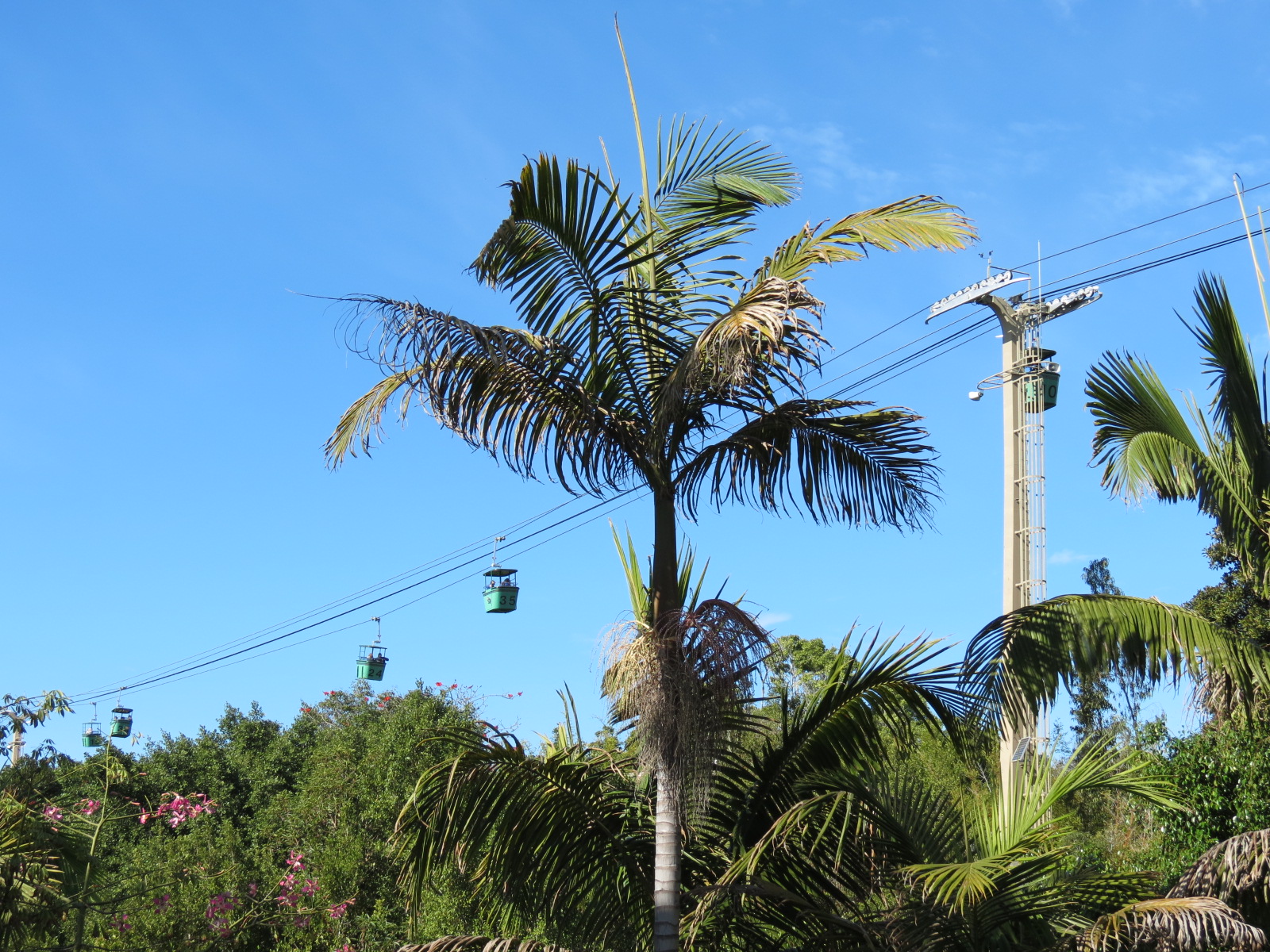 Discovery Outpost - Skyfari