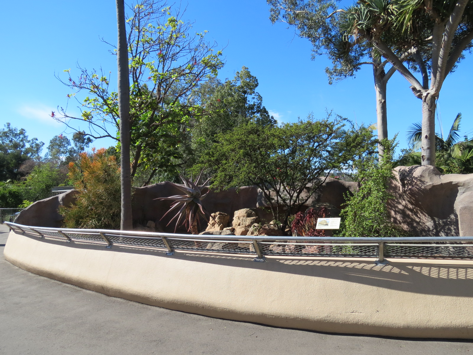 Discovery Outpost - Southern Leopard Tortoise Exhibit
