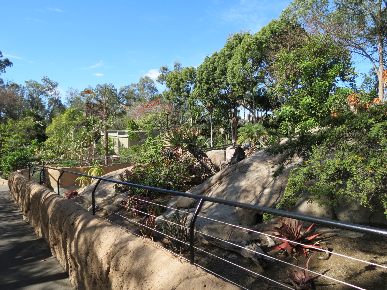 Discovery Outpost - Southern Leopard Tortoise Exhibit