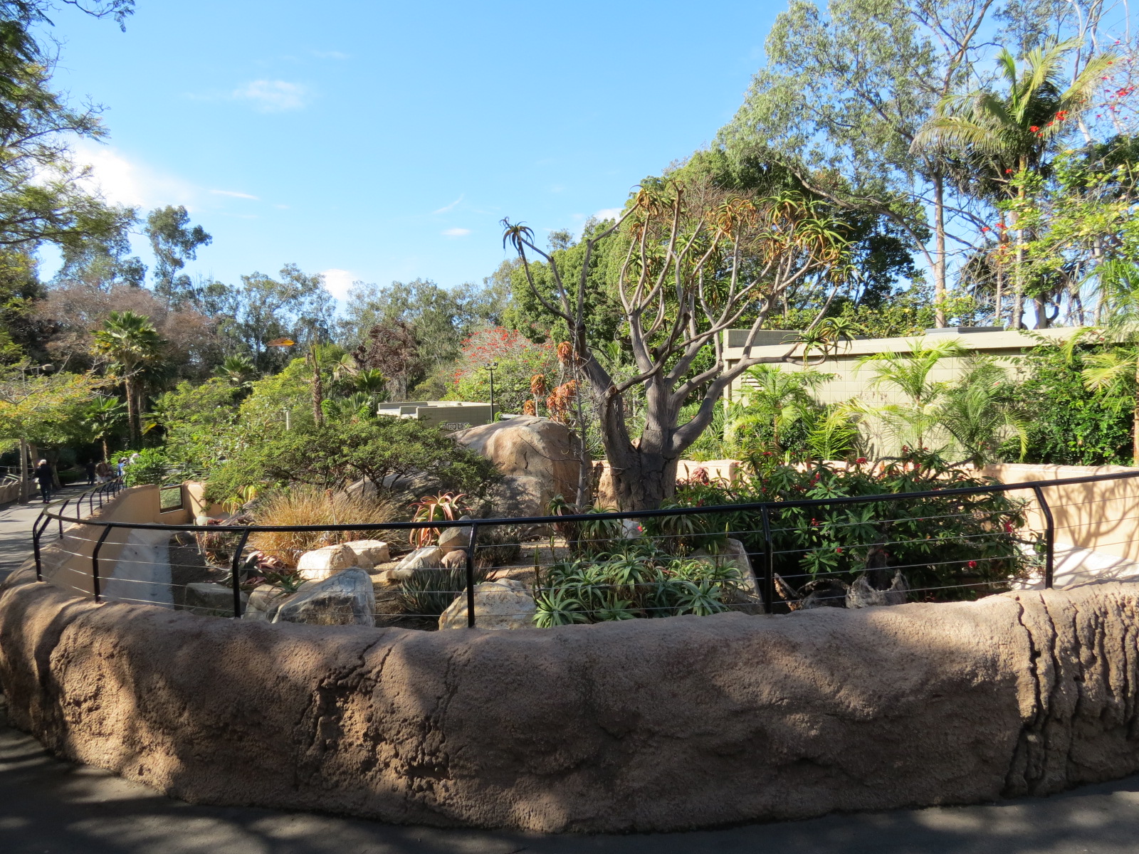 Discovery Outpost - Southern Leopard Tortoise Exhibit