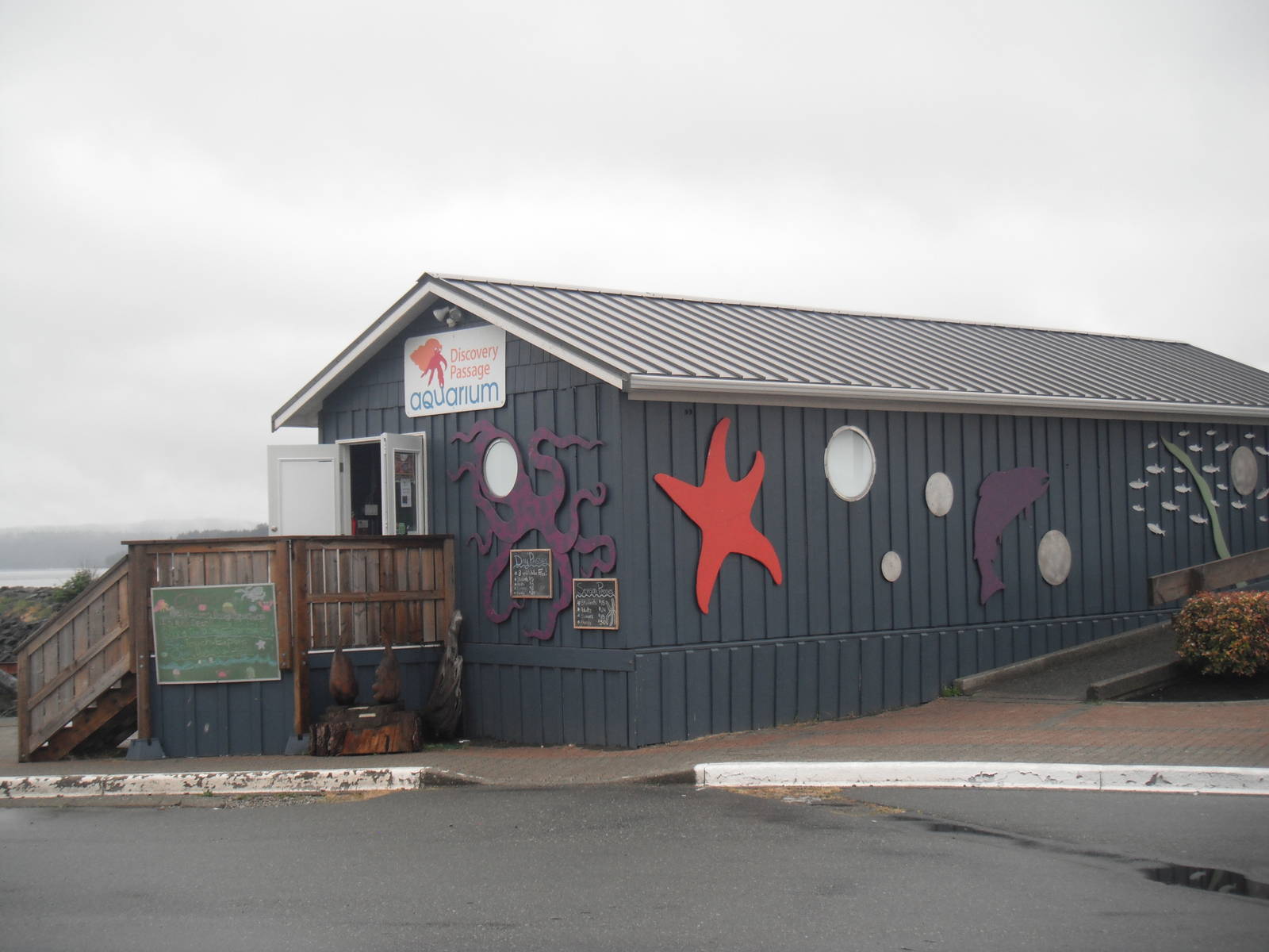 Discovery passage aquarium - May 2016