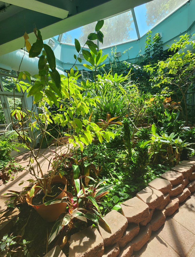 Discovery Place Nature - Butterfly garden