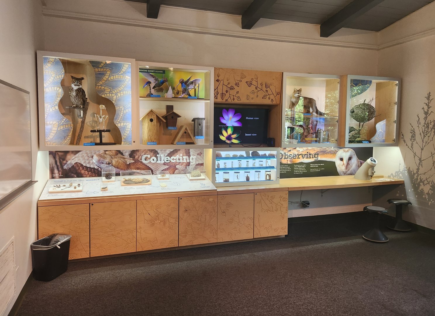 Discovery Place Nature - "Collecting & Observing" room
