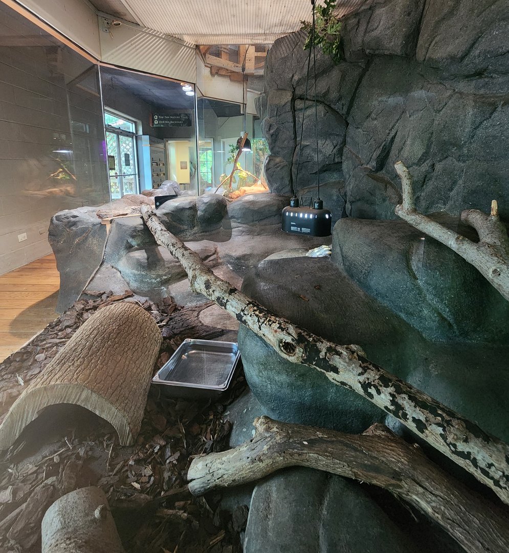 Discovery Place Nature - Desert Tortoise enclosure