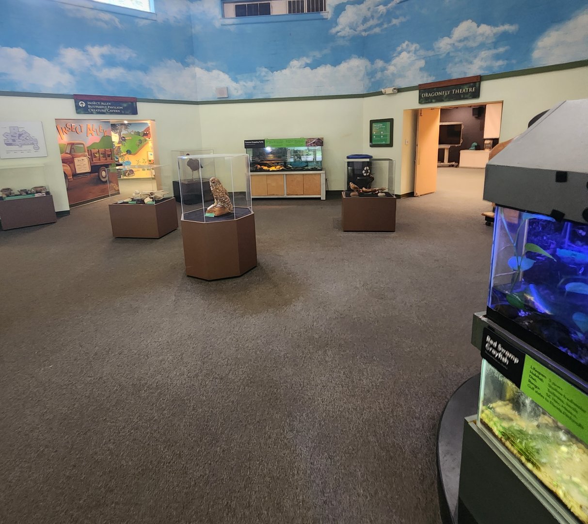 Discovery Place Nature - Entrance exhibits