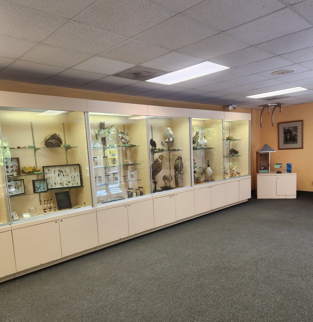 Discovery Place Nature - Taxidermy and science displays