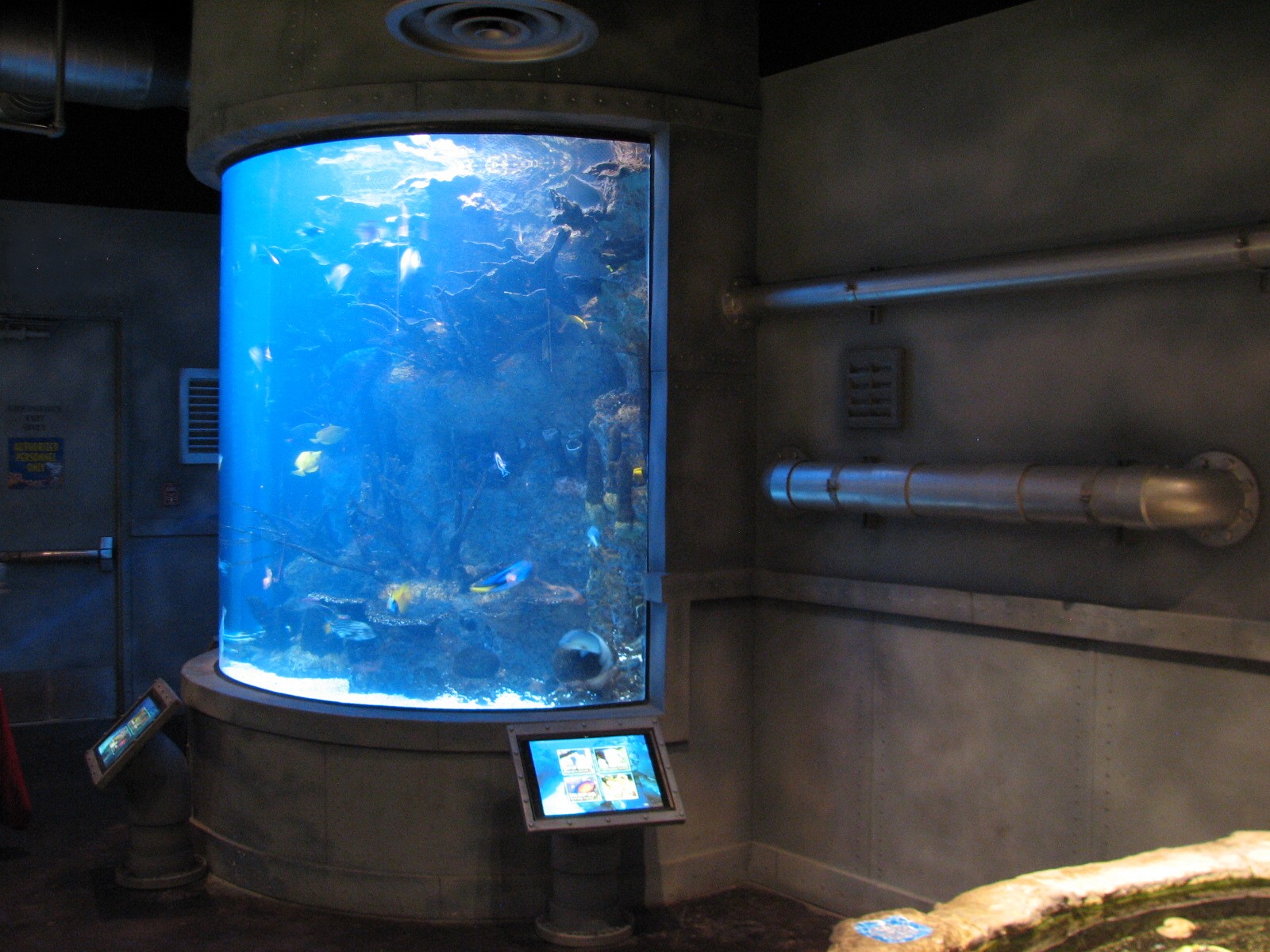 Discovery Rig - Tropical Tank