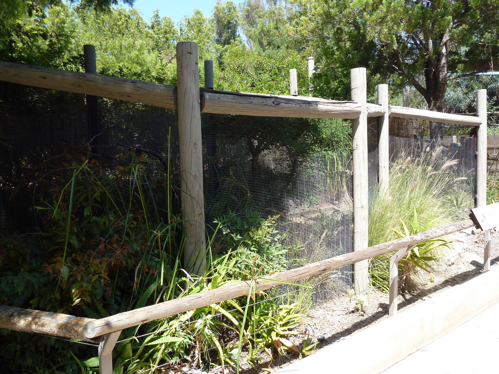 Discovery Station - Roadrunner Exhibit