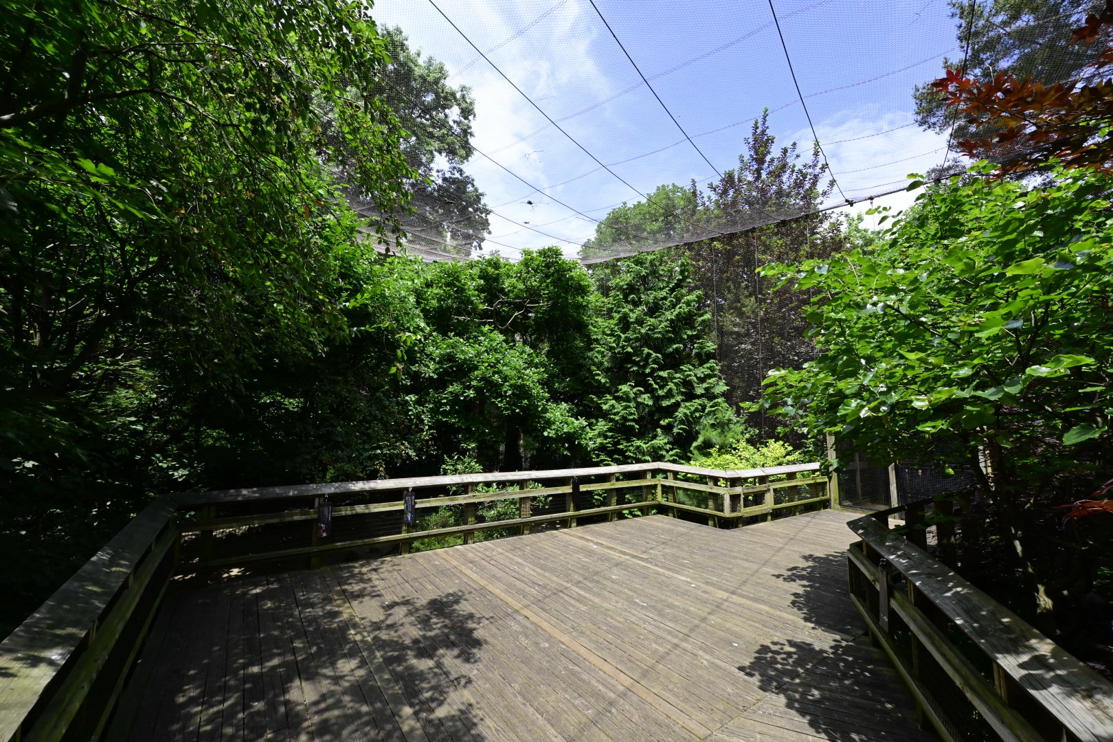 Discovery Trail Aviary - Overview