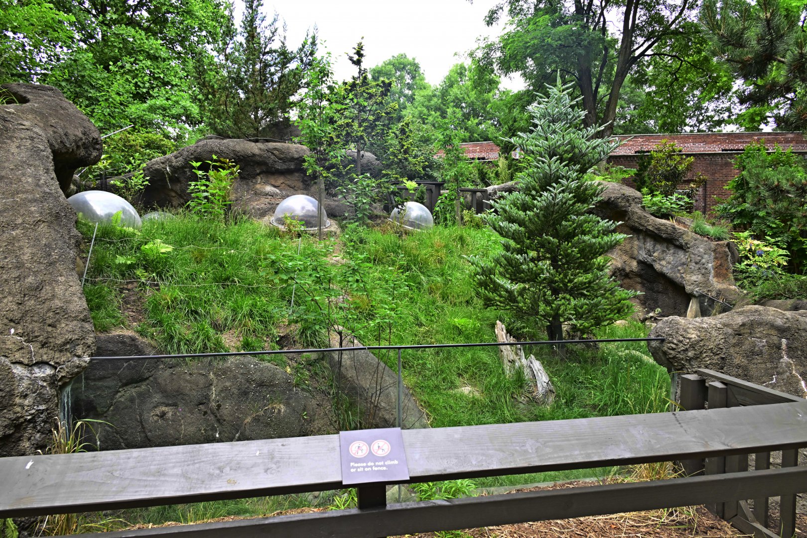 Discovery Trail - Southern Pudu (Pudu puda) Exhibit