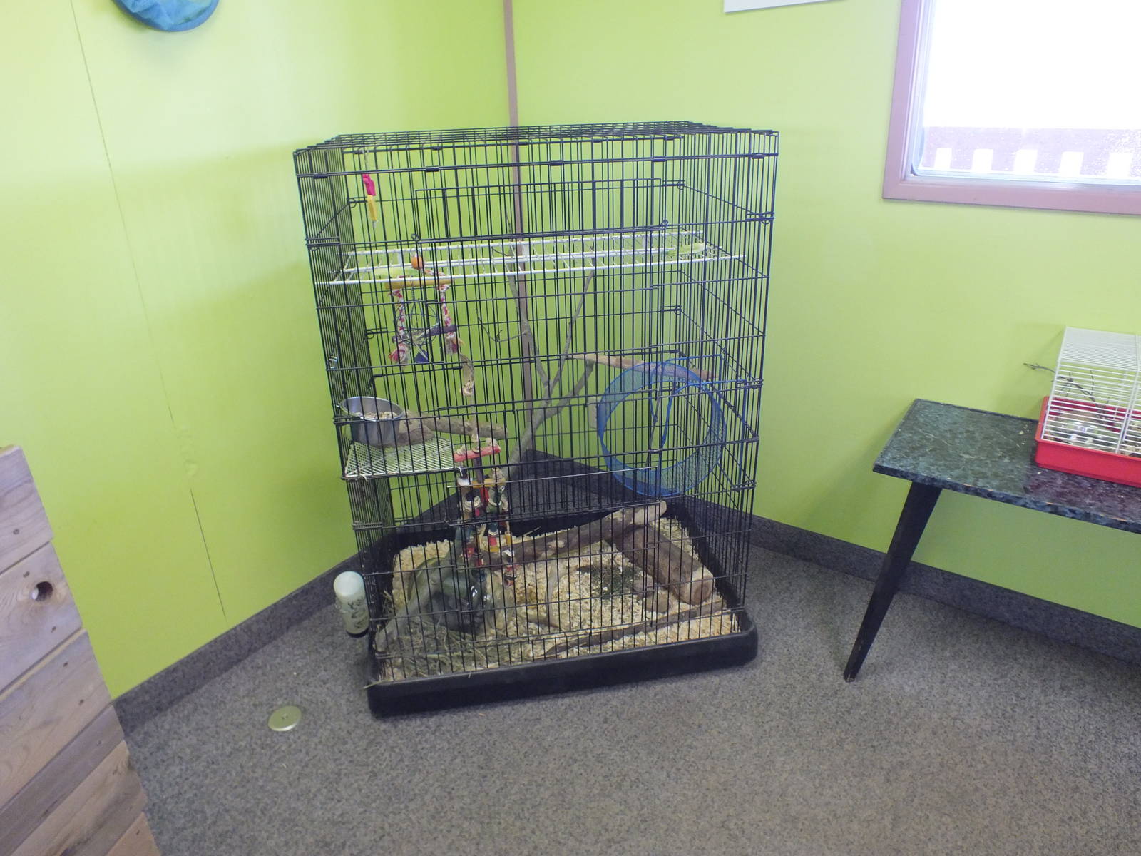 Discovery Wildlife Park-Chinchilla Cage